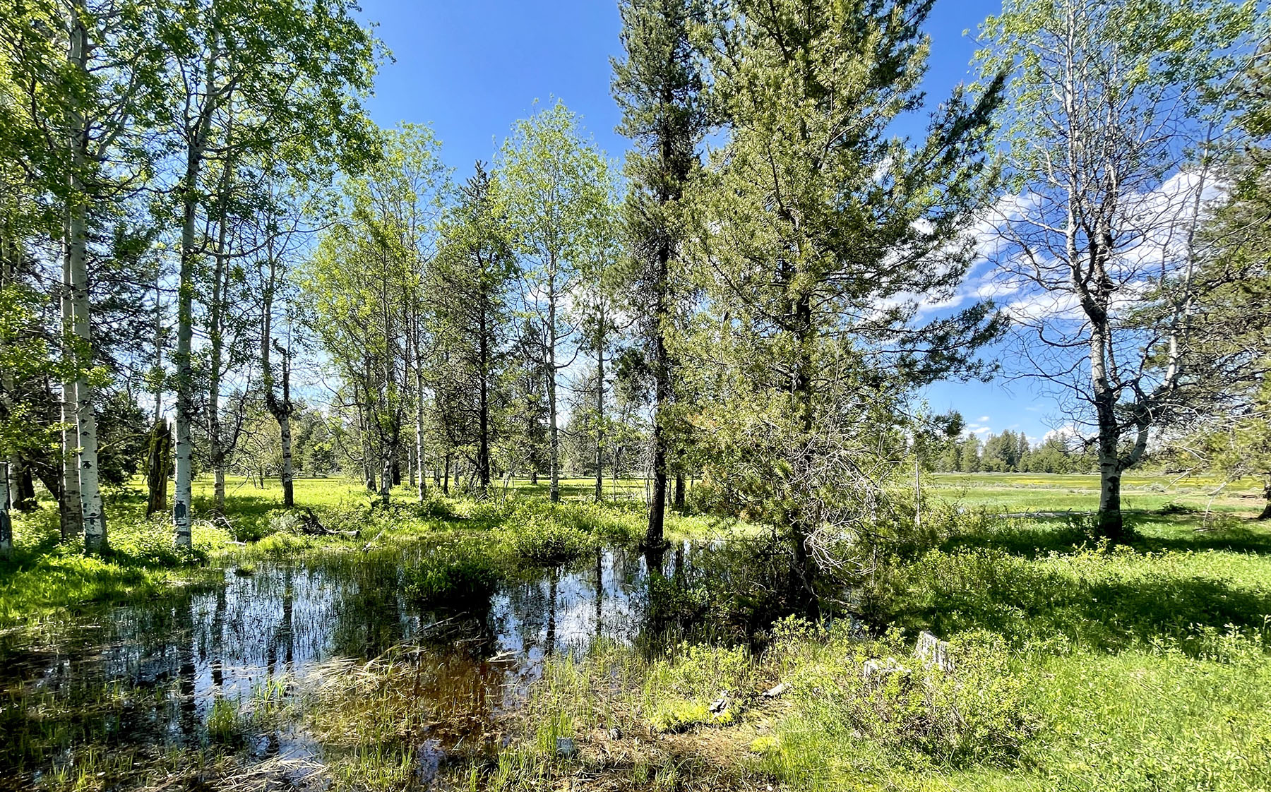 OH Ranch property picture 8 of 48