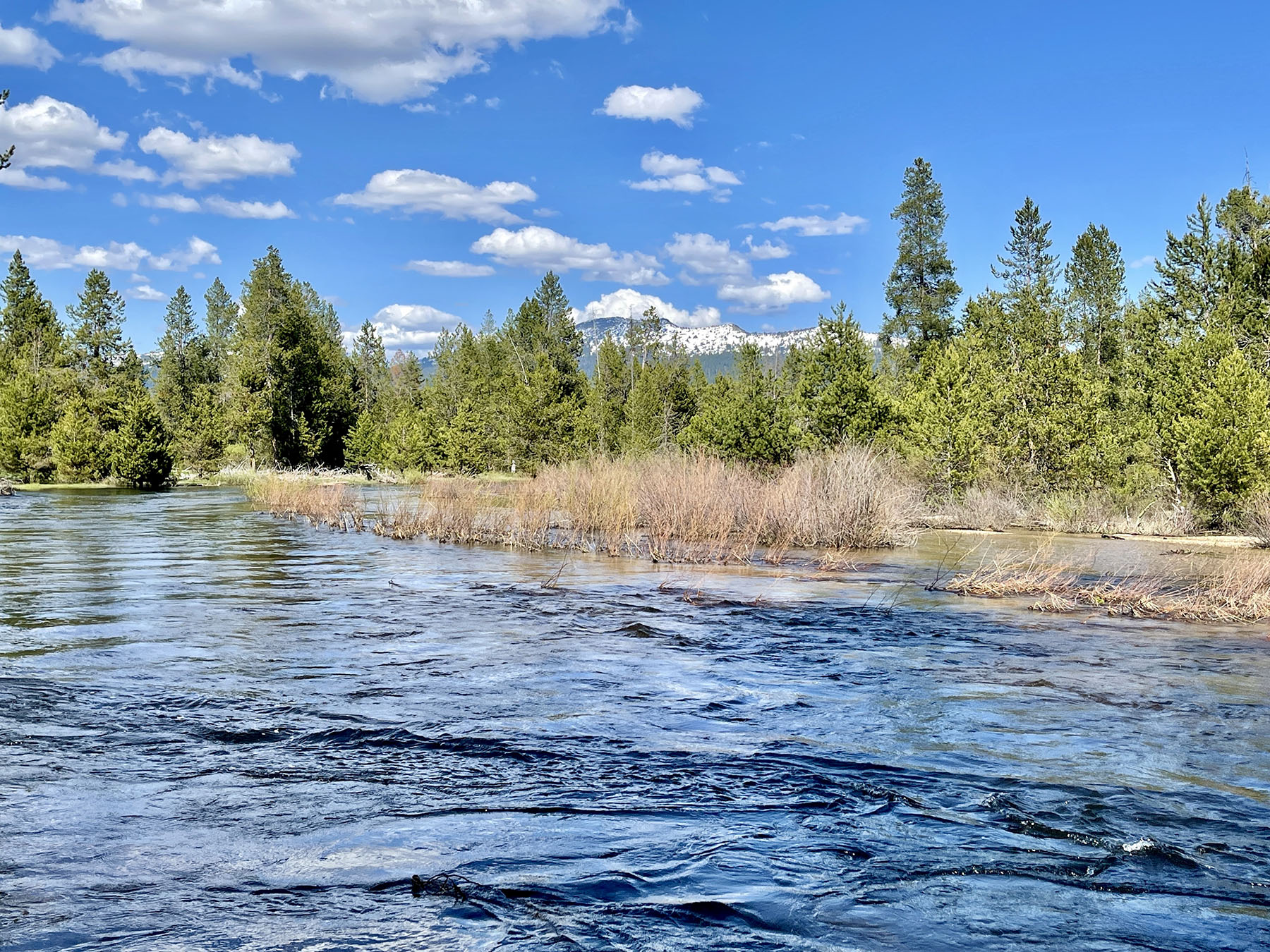 OH Ranch property picture 46 of 48