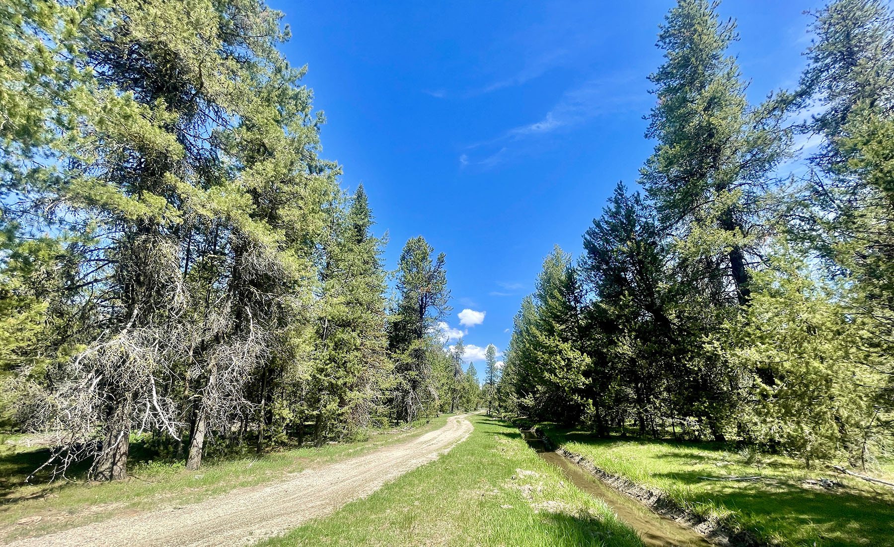 OH Ranch property picture 17 of 48