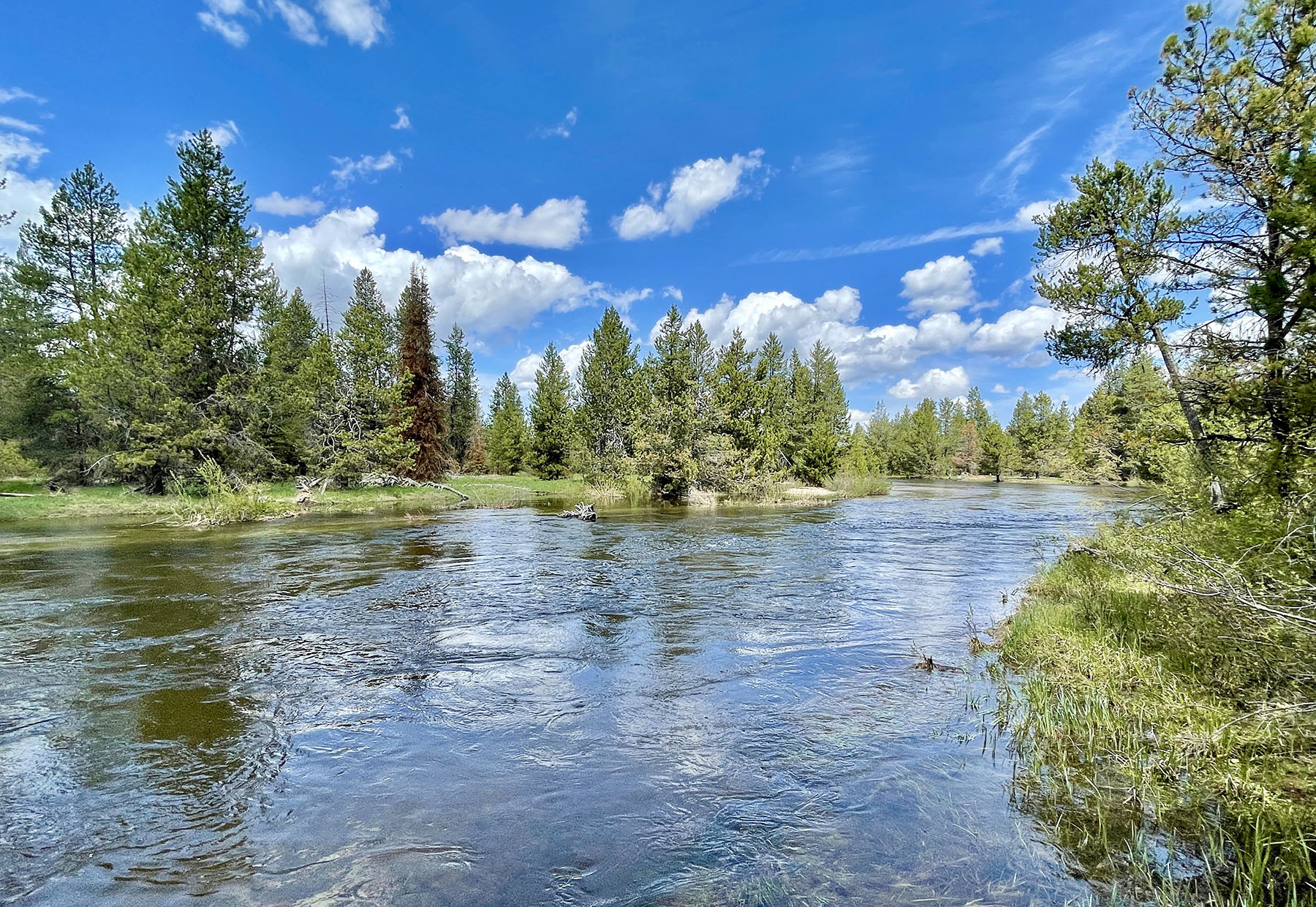 OH Ranch property picture 3 of 48