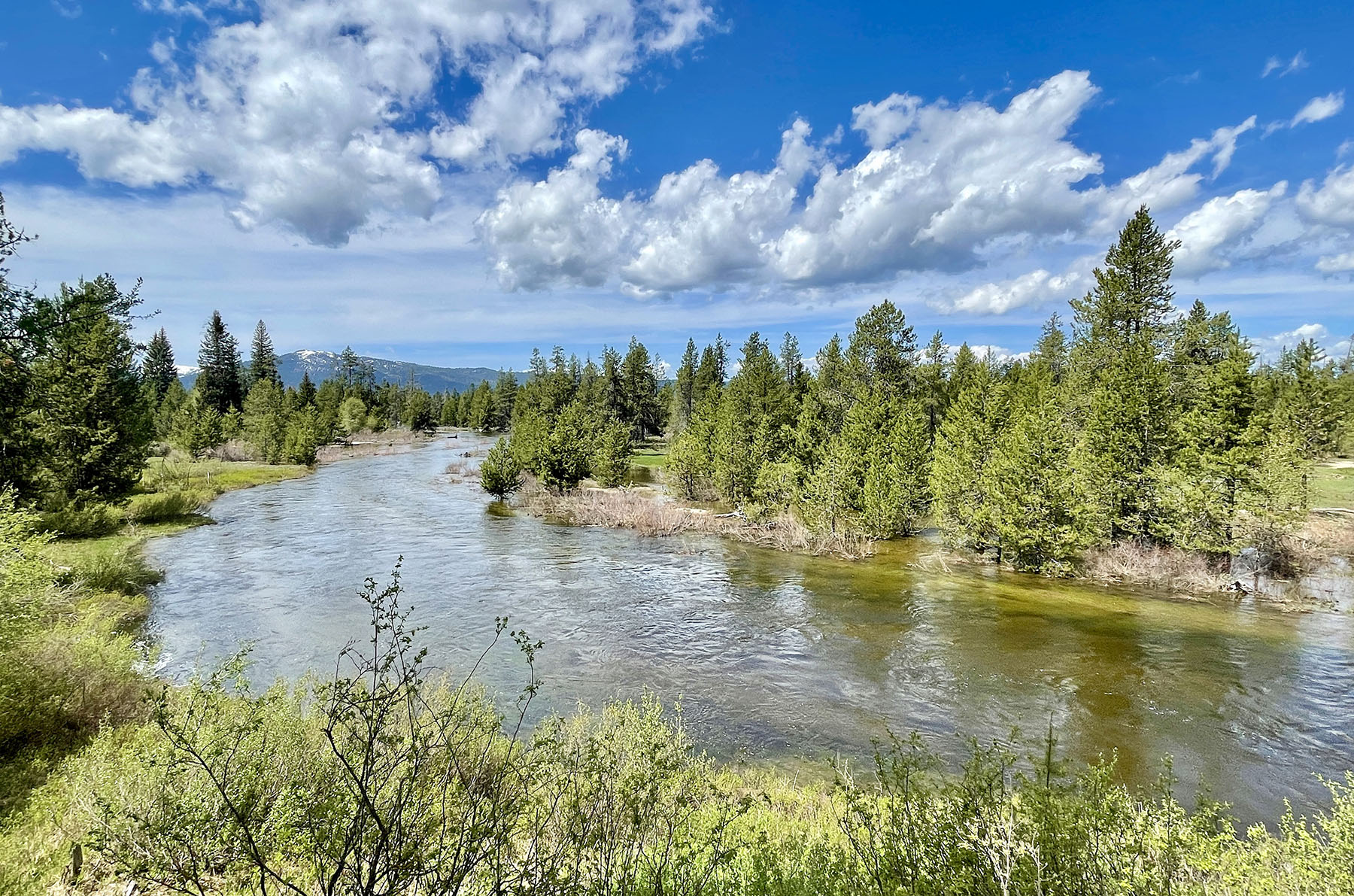 OH Ranch property picture 30 of 48