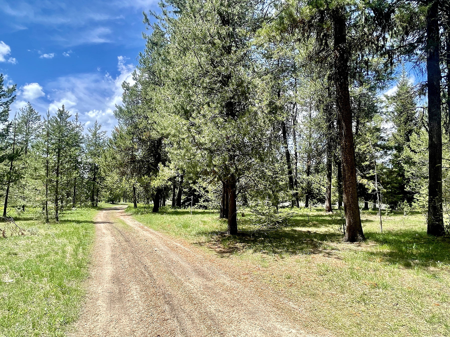 OH Ranch property picture 22 of 48