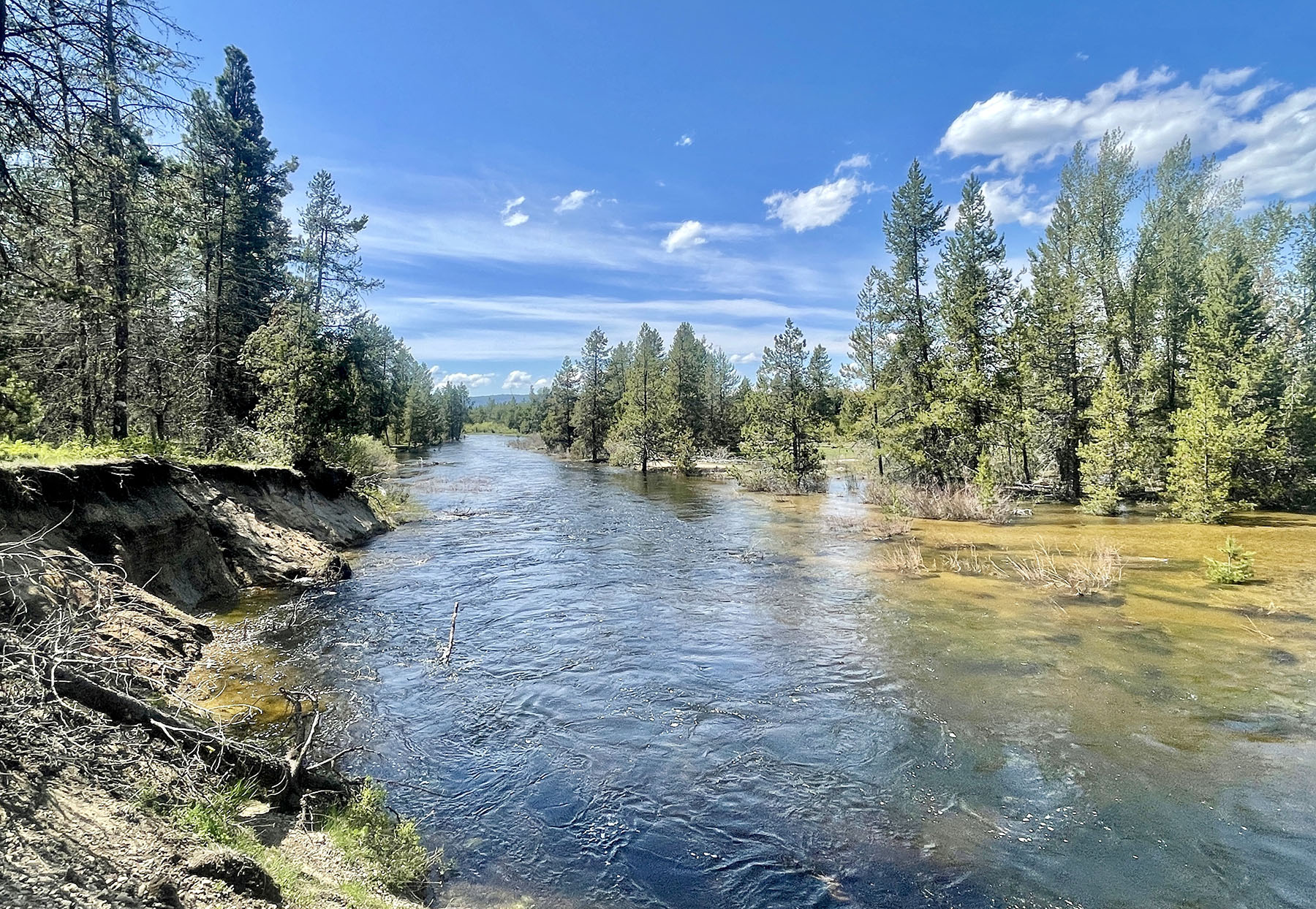 OH Ranch property picture 4 of 48