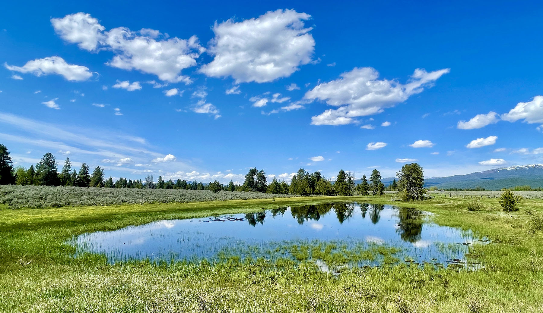 OH Ranch property picture 6 of 48