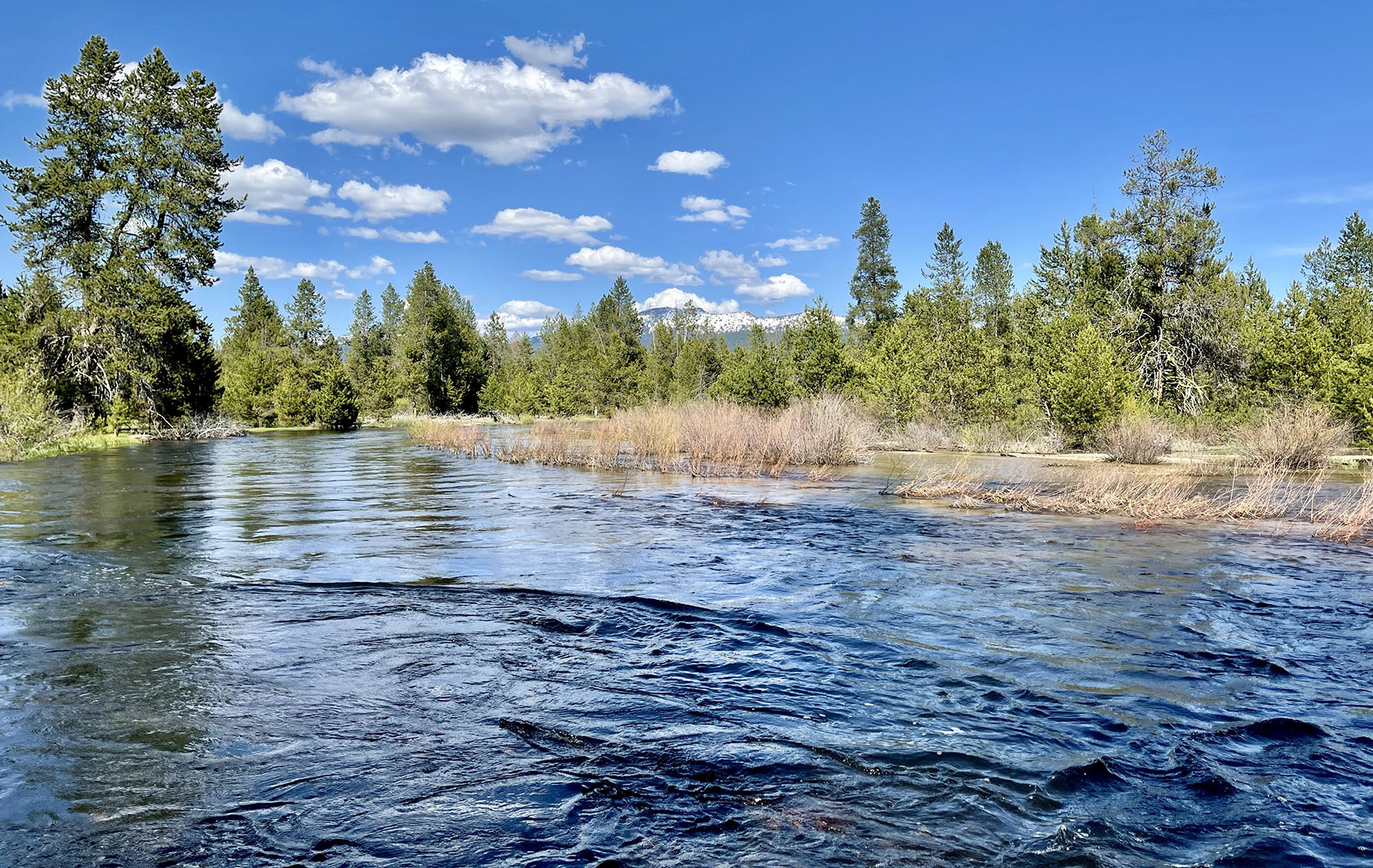 OH Ranch property picture 45 of 48