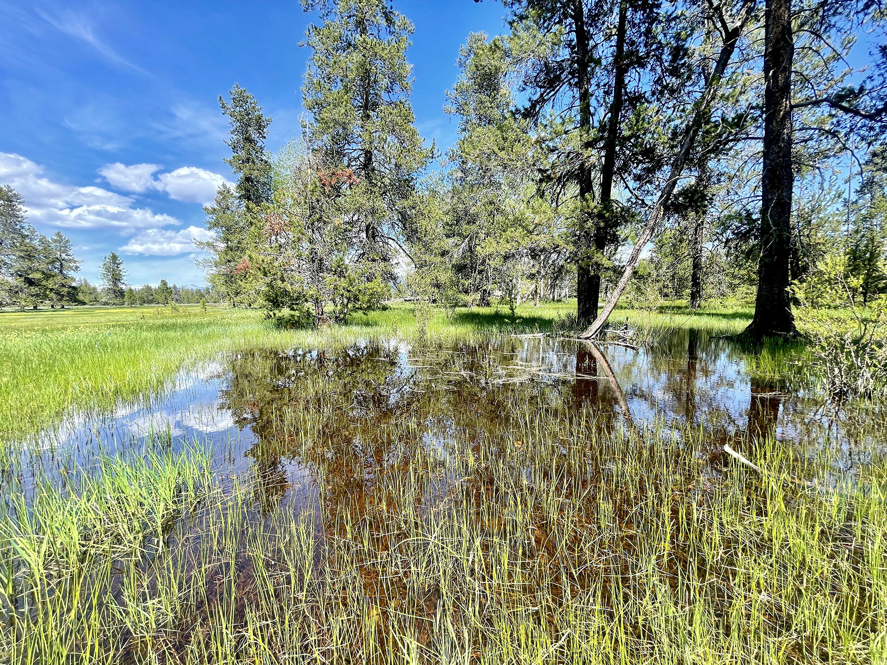 OH Ranch property picture 42 of 48