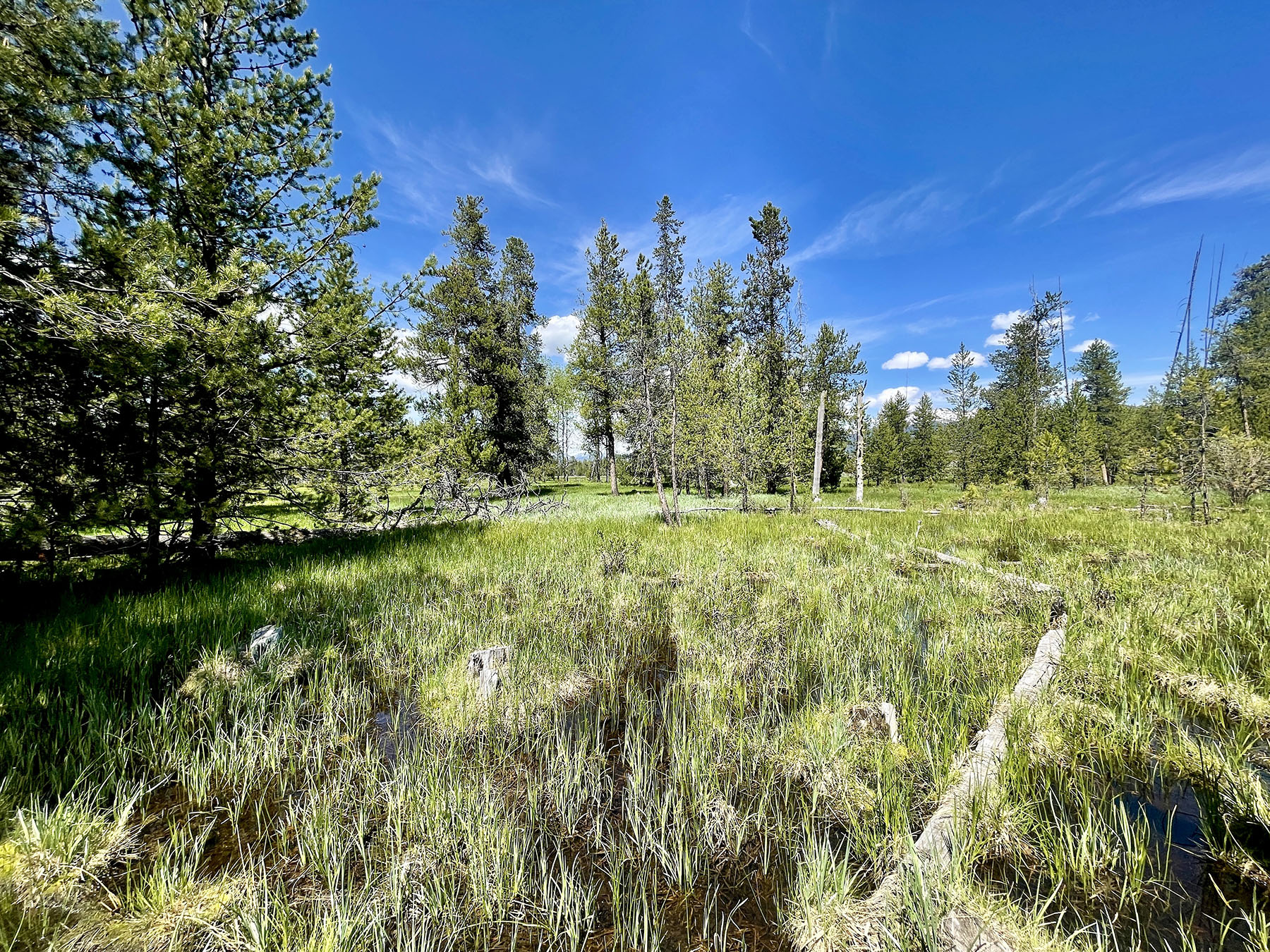 OH Ranch property picture 11 of 48