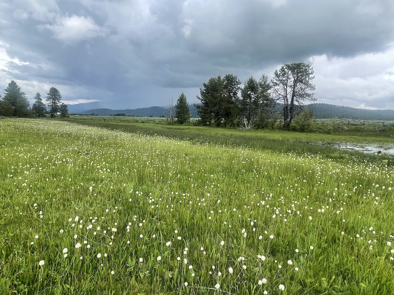 OH Ranch property picture 48 of 48