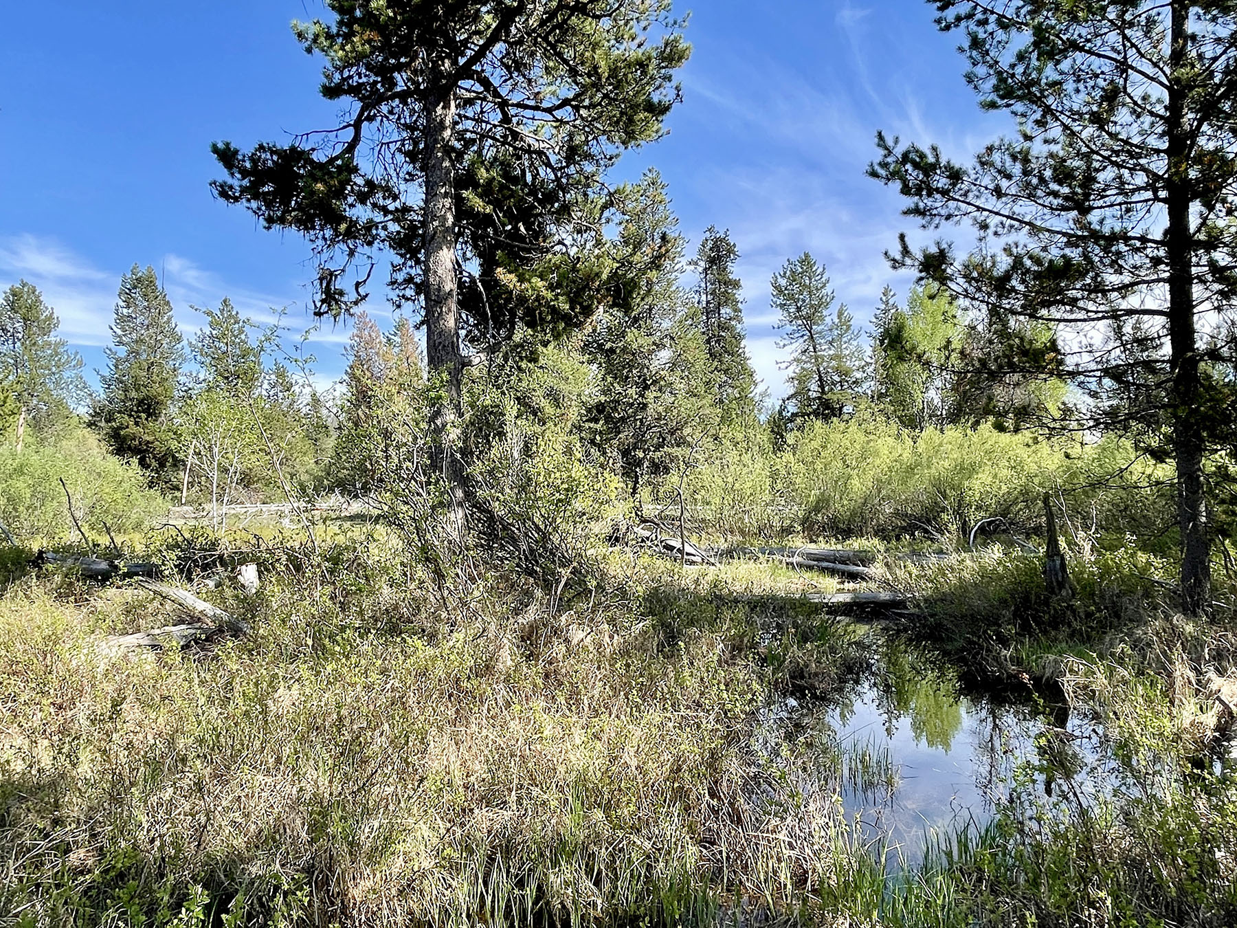 OH Ranch property picture 43 of 48