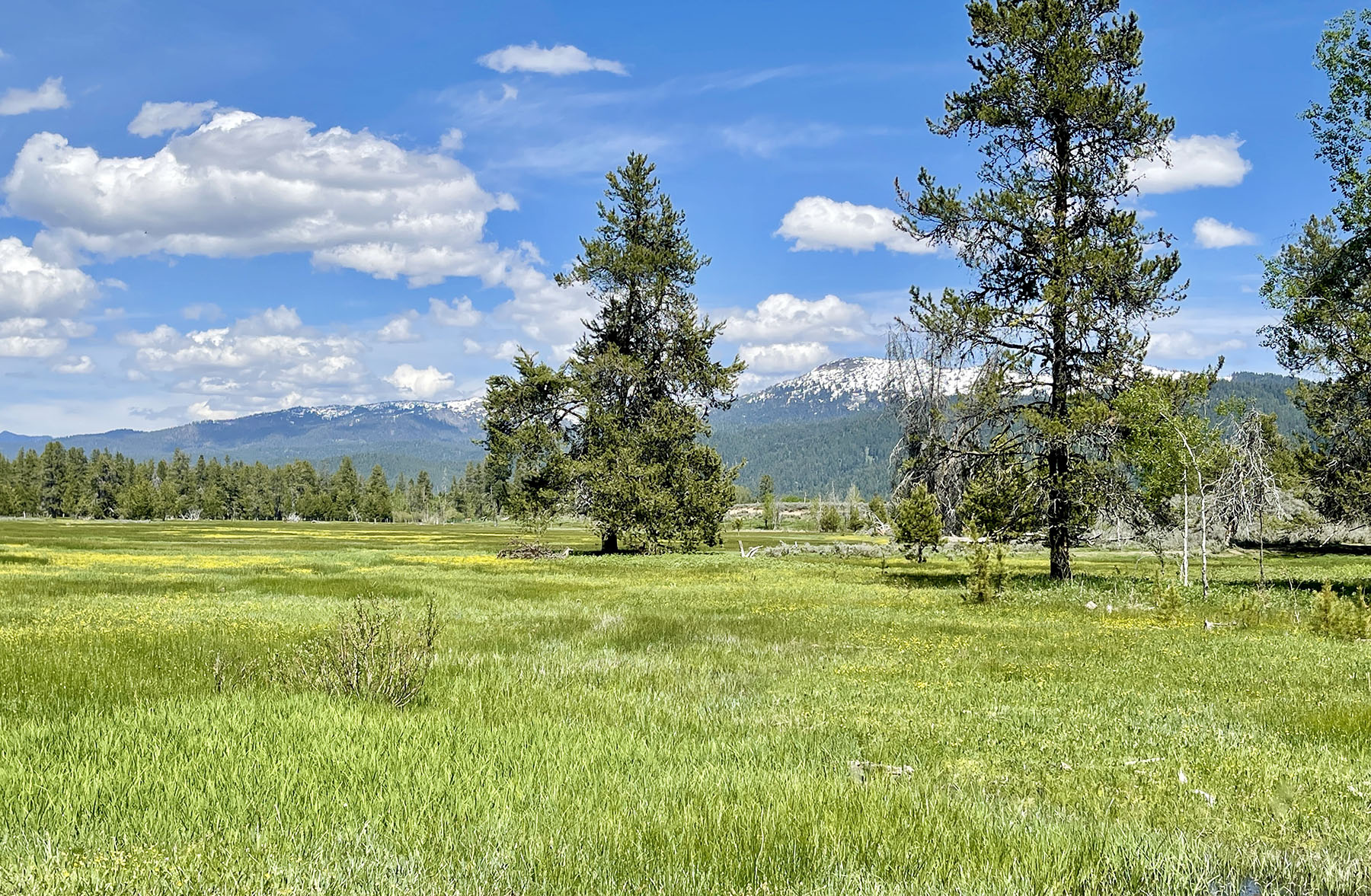 OH Ranch property picture 13 of 48