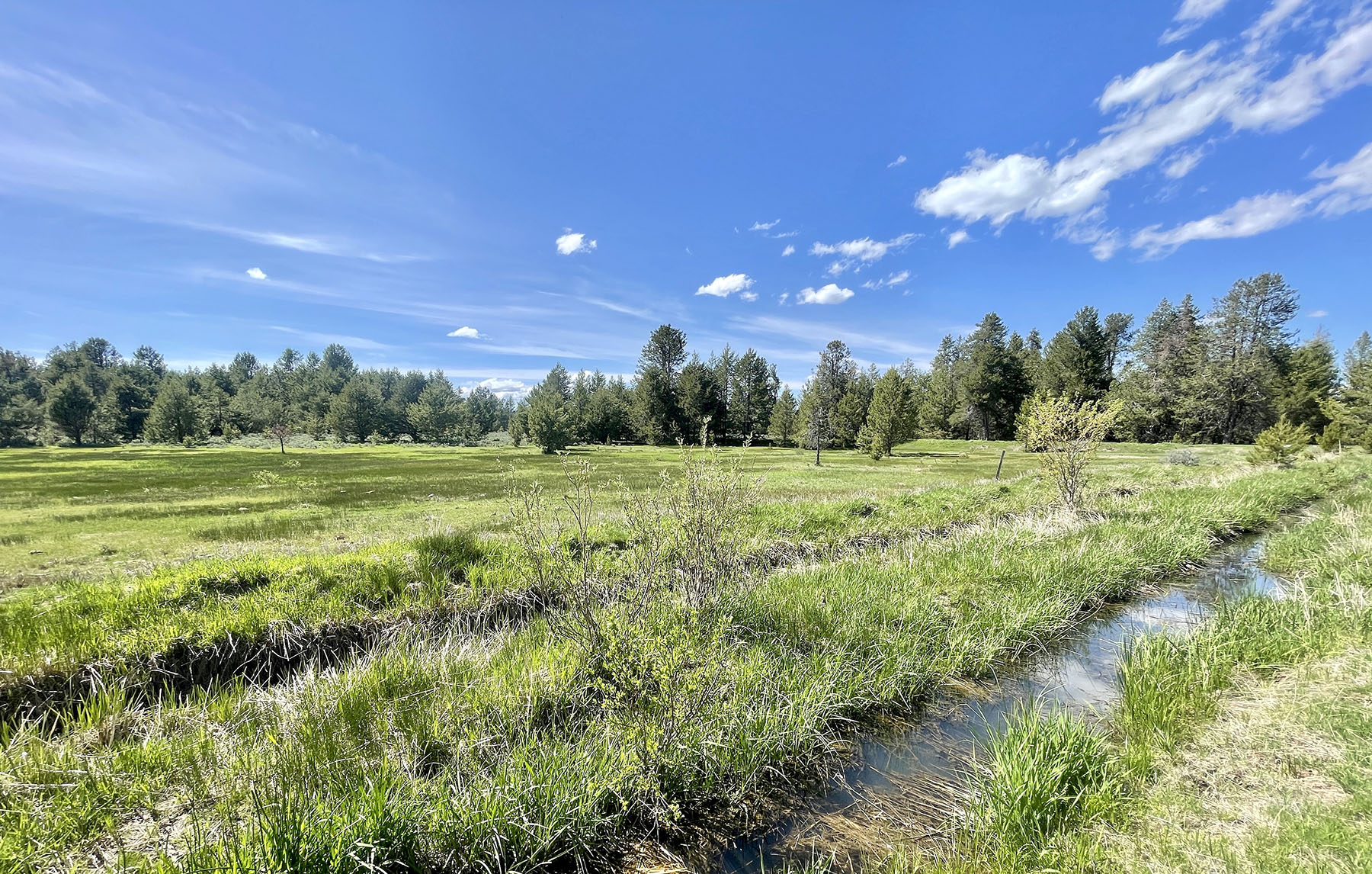 OH Ranch property picture 36 of 48