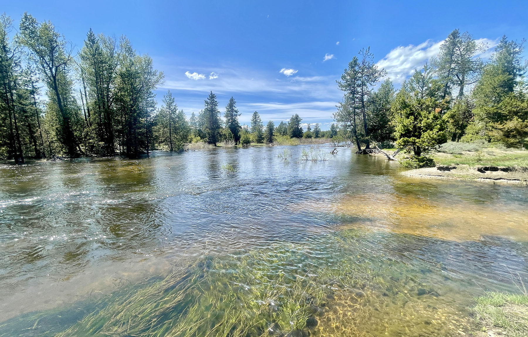 OH Ranch property picture 32 of 48