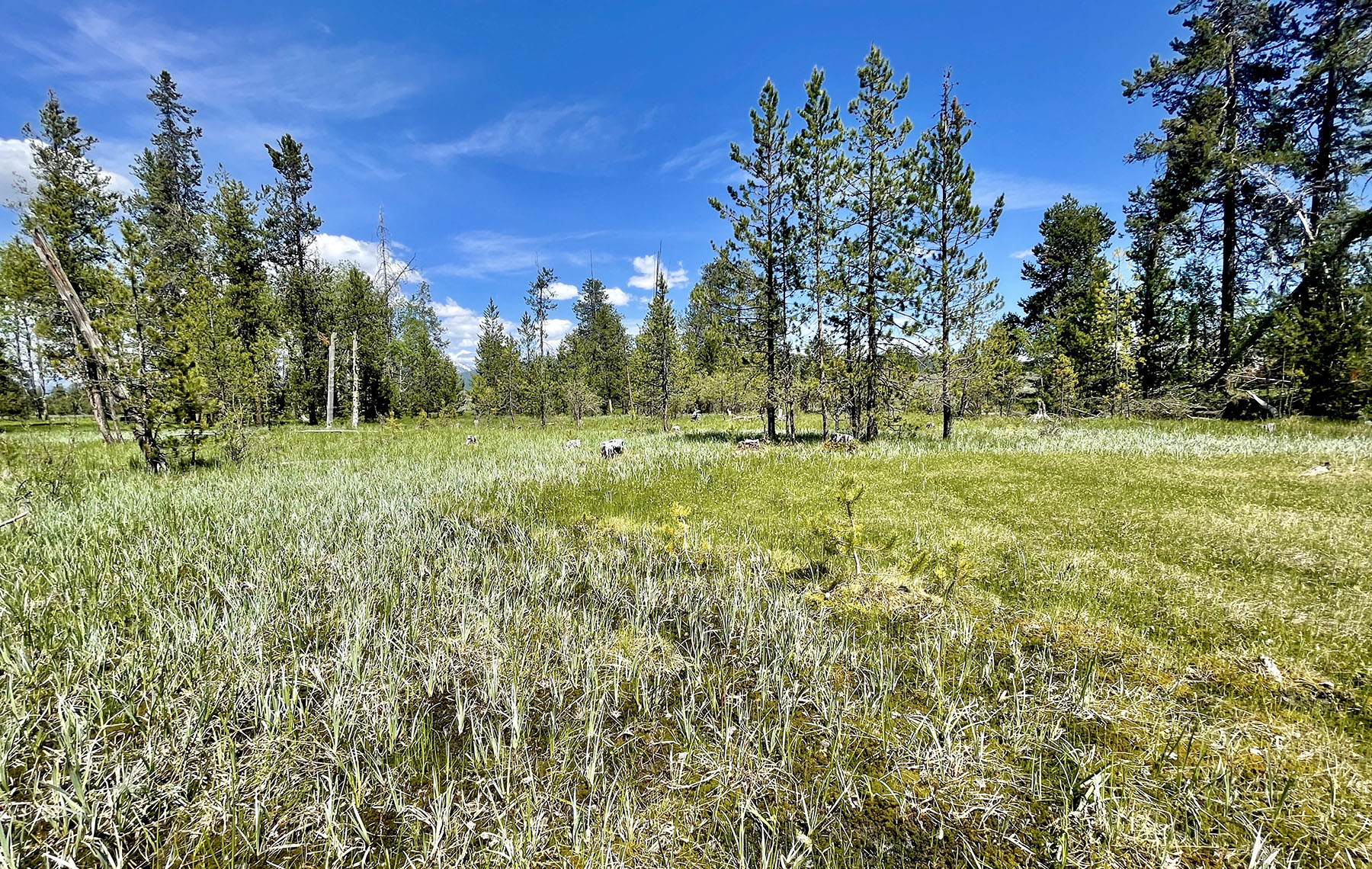 OH Ranch property picture 39 of 48