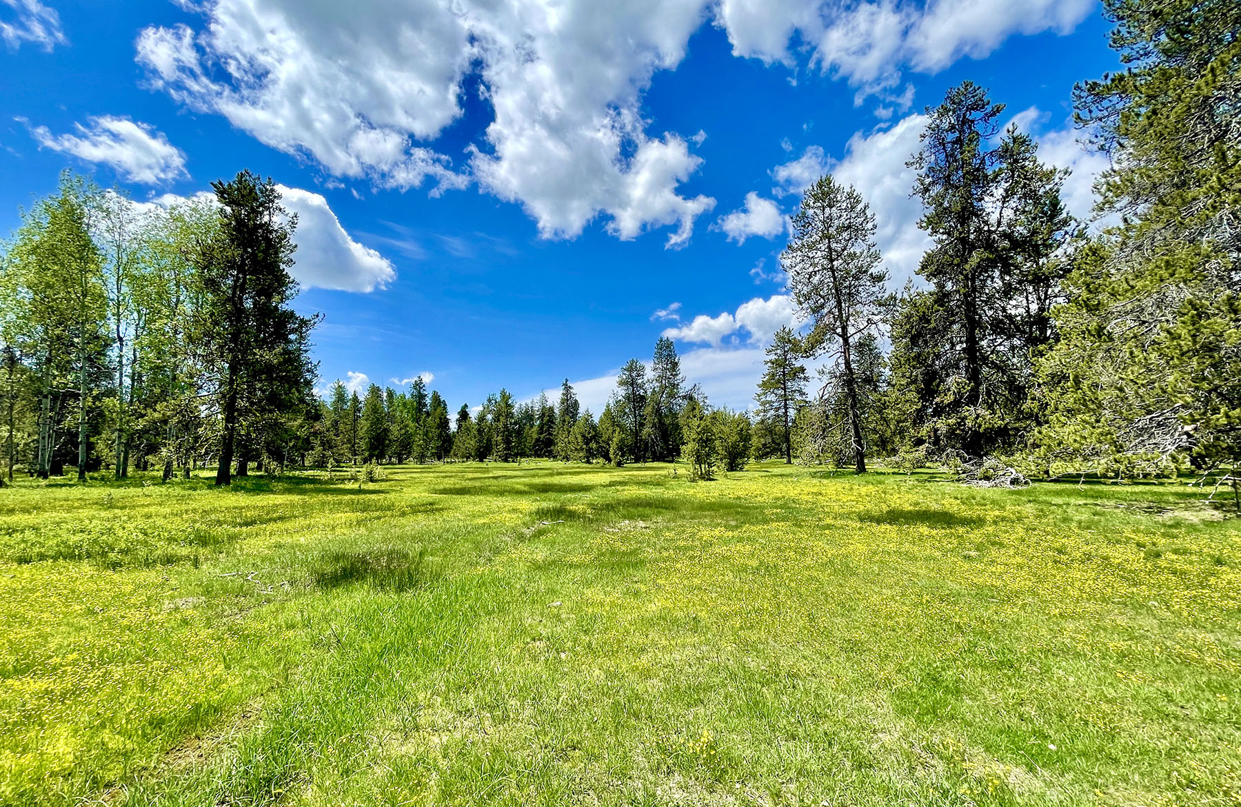 OH Ranch property picture 7 of 48