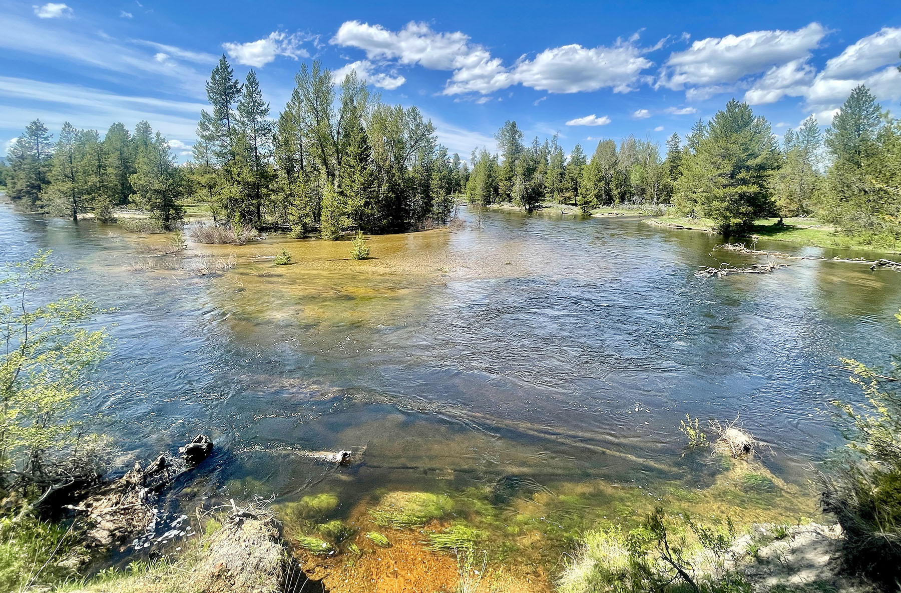 OH Ranch property picture 5 of 48