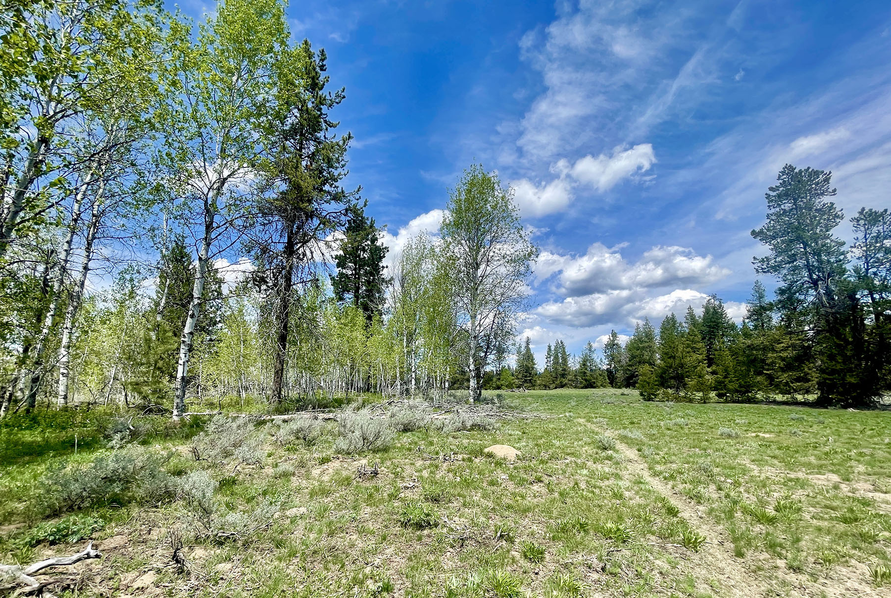 OH Ranch property picture 19 of 48