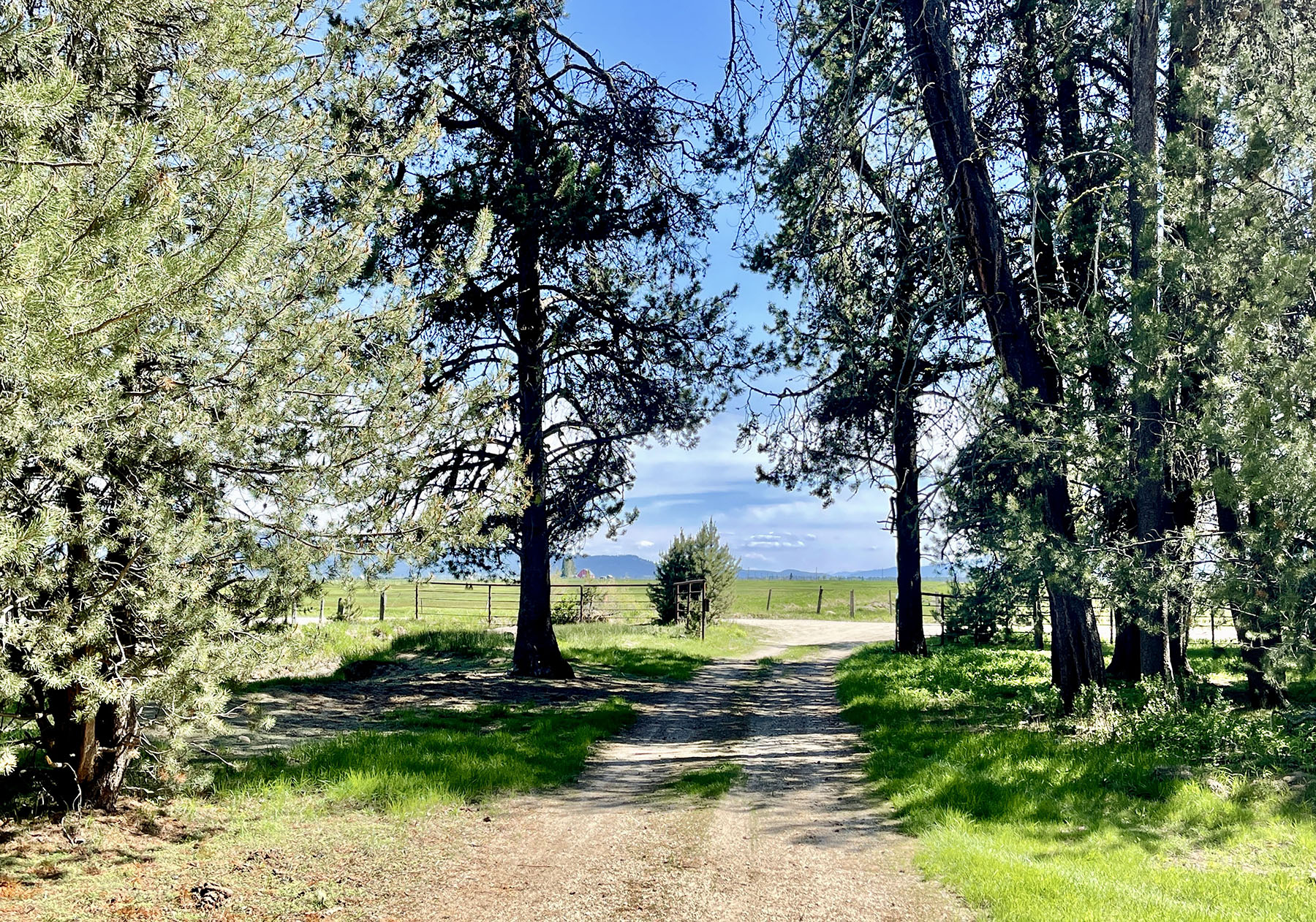 OH Ranch property picture 16 of 48