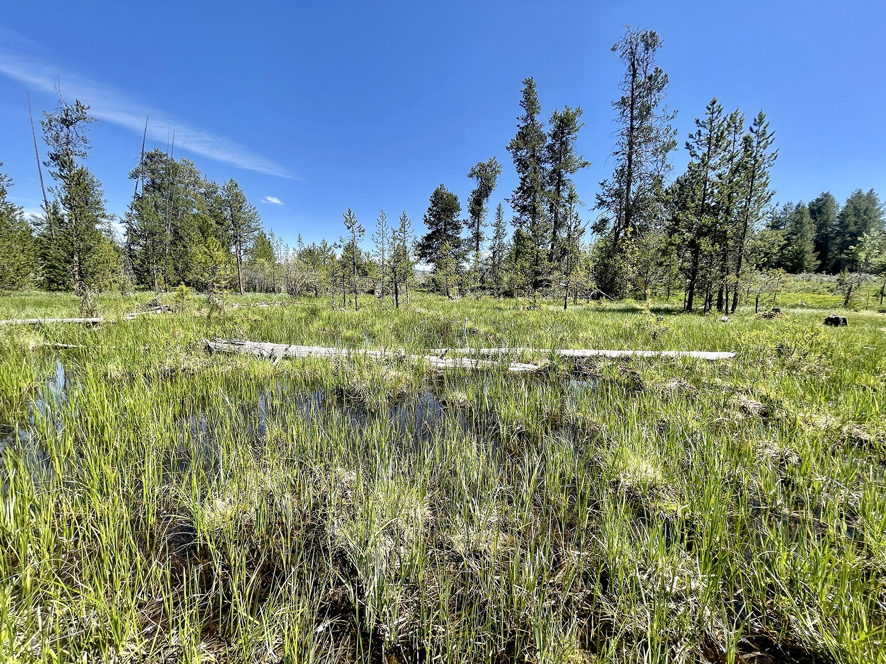 OH Ranch property picture 41 of 48