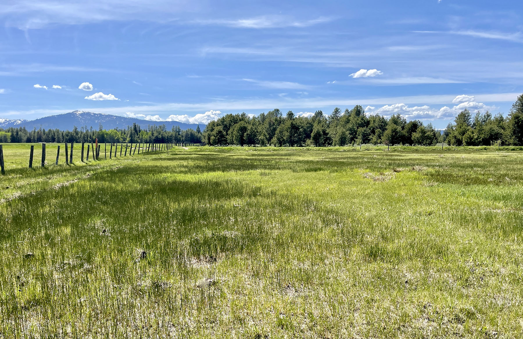 OH Ranch property picture 38 of 48