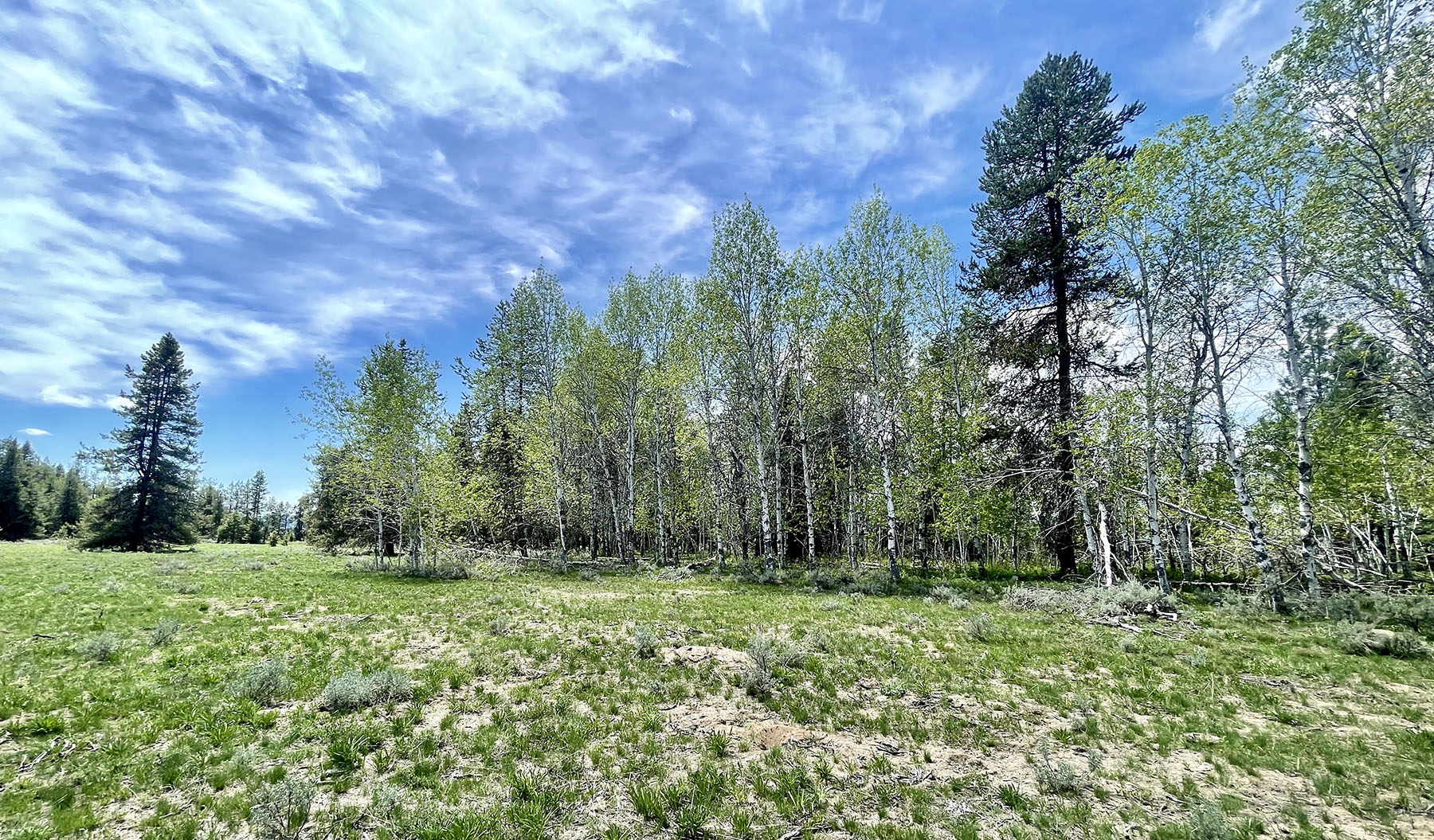 OH Ranch property picture 20 of 48