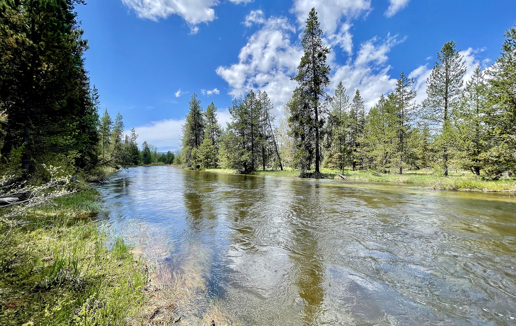 OH Ranch property picture 2 of 48