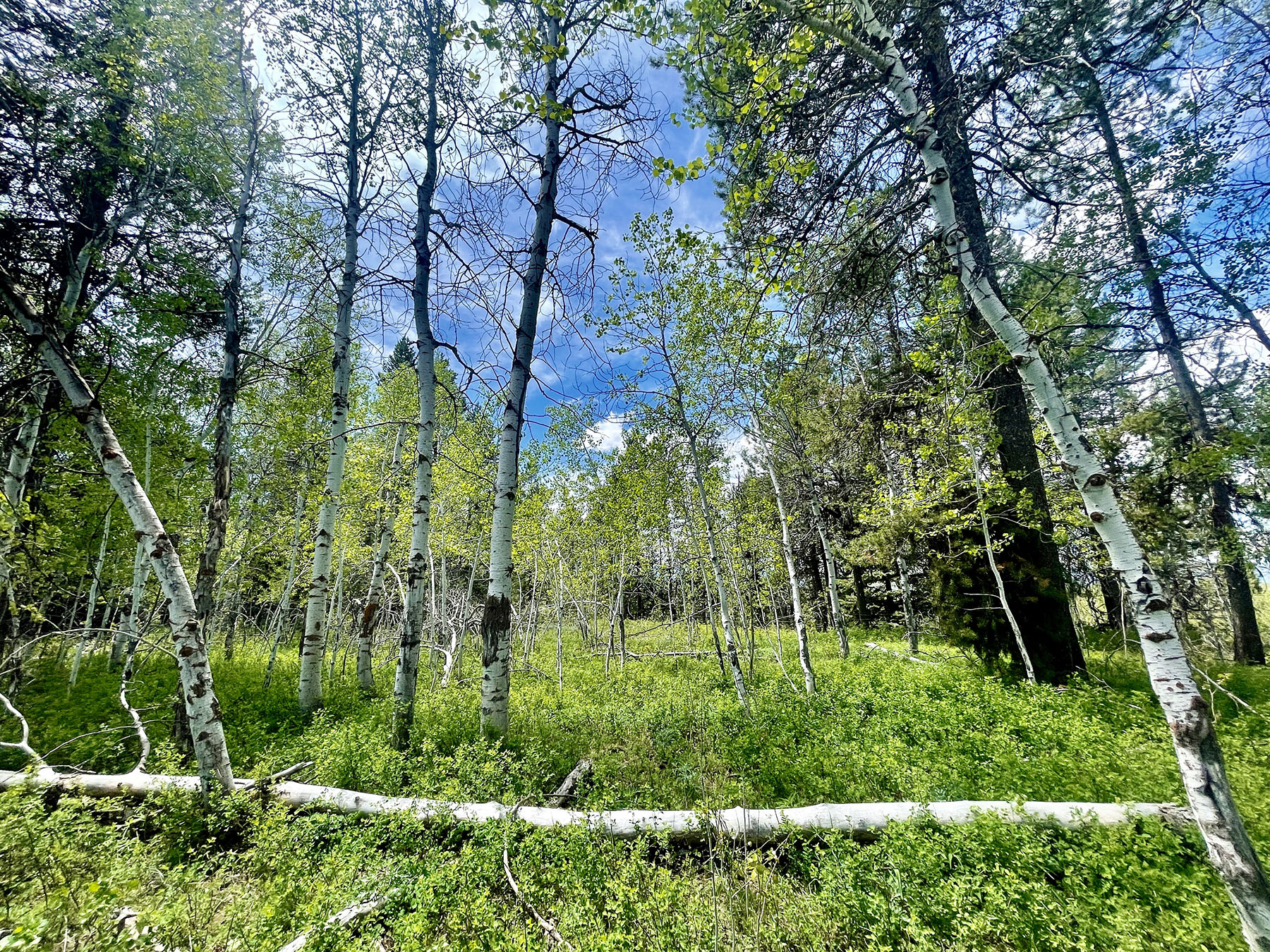 OH Ranch property picture 12 of 48