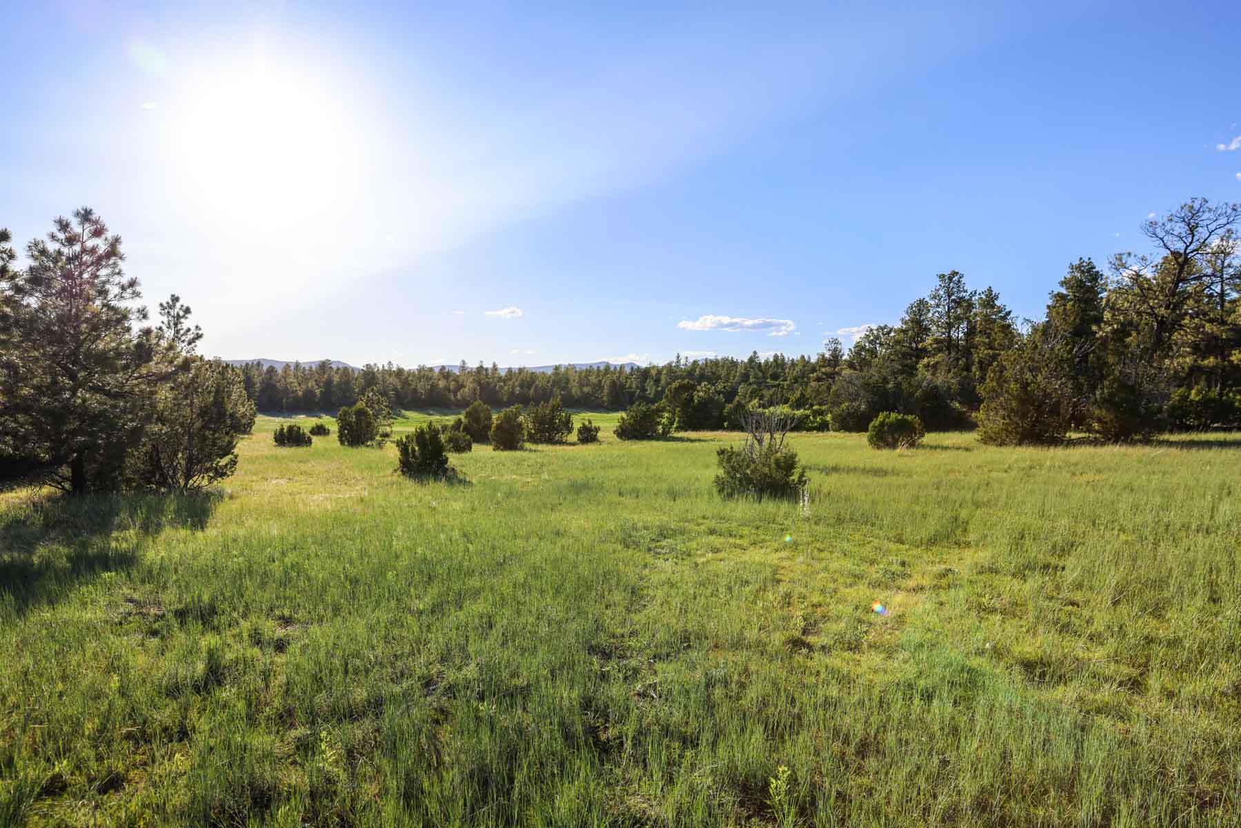 Land of Enchantment Ranch property picture 30 of 81