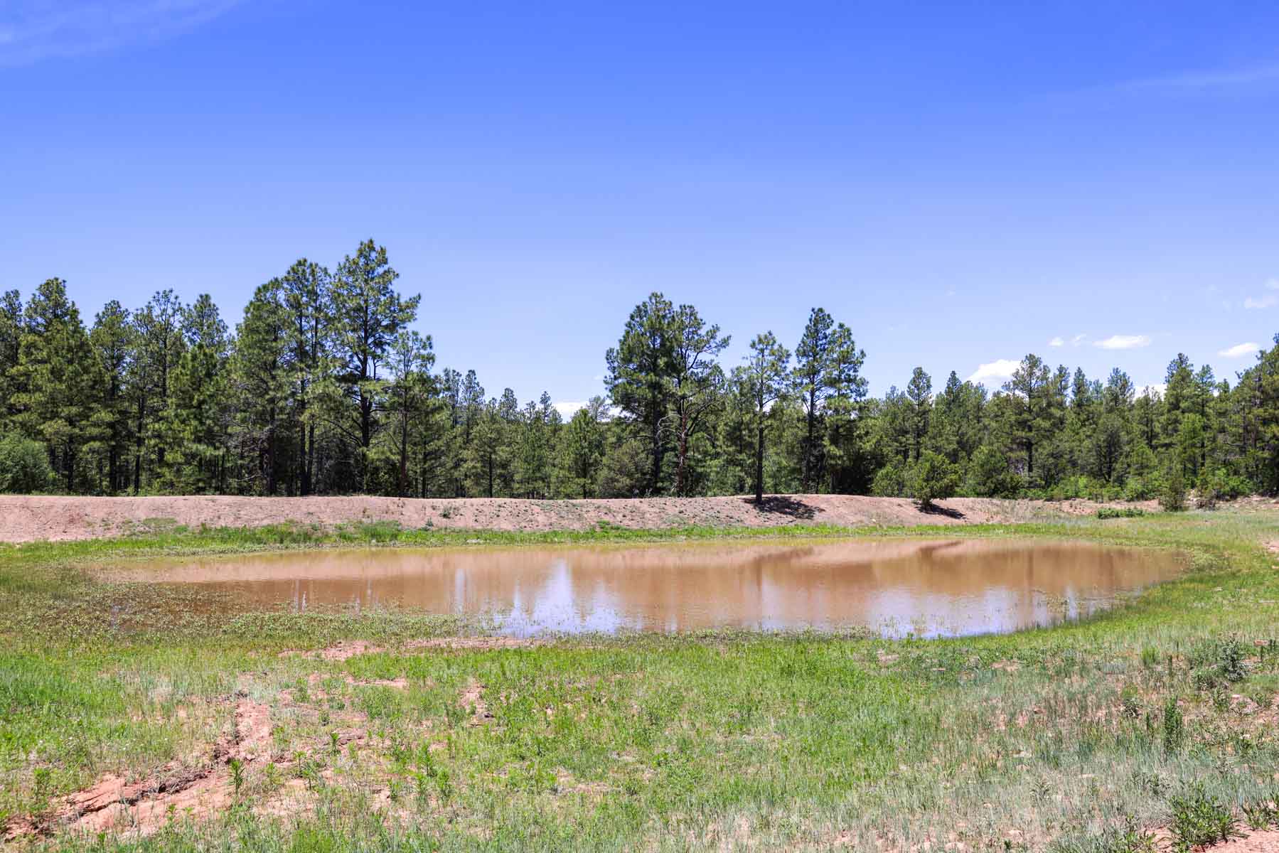 Land of Enchantment Ranch property picture 36 of 81