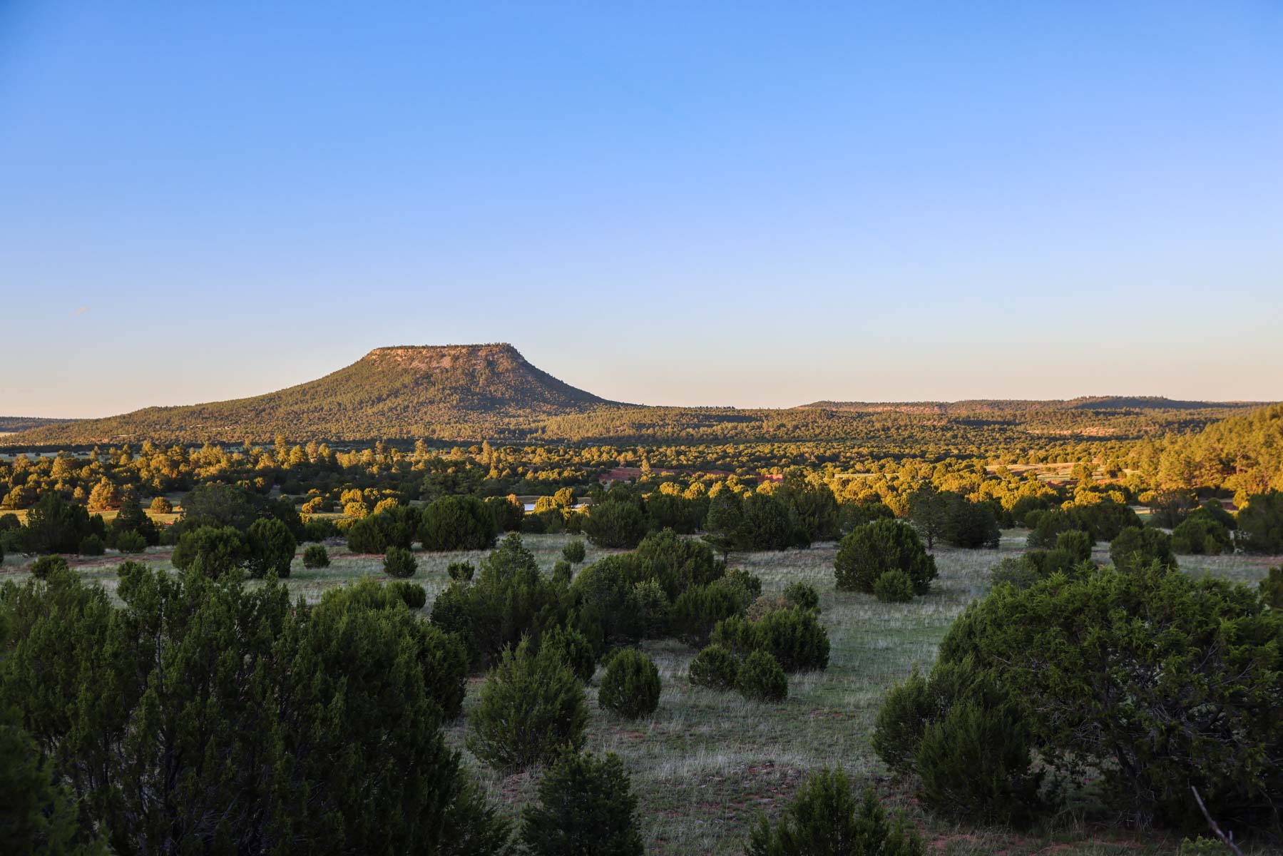 Land of Enchantment Ranch property picture 31 of 81