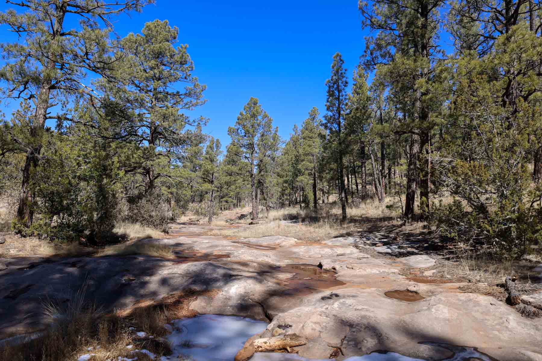 Land of Enchantment Ranch property picture 81 of 81