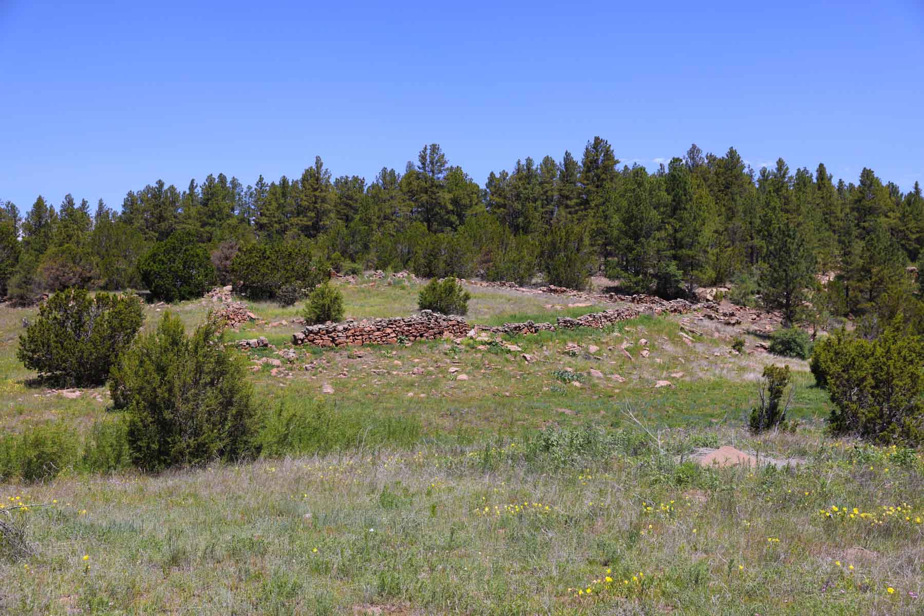 Land of Enchantment Ranch property picture 44 of 81