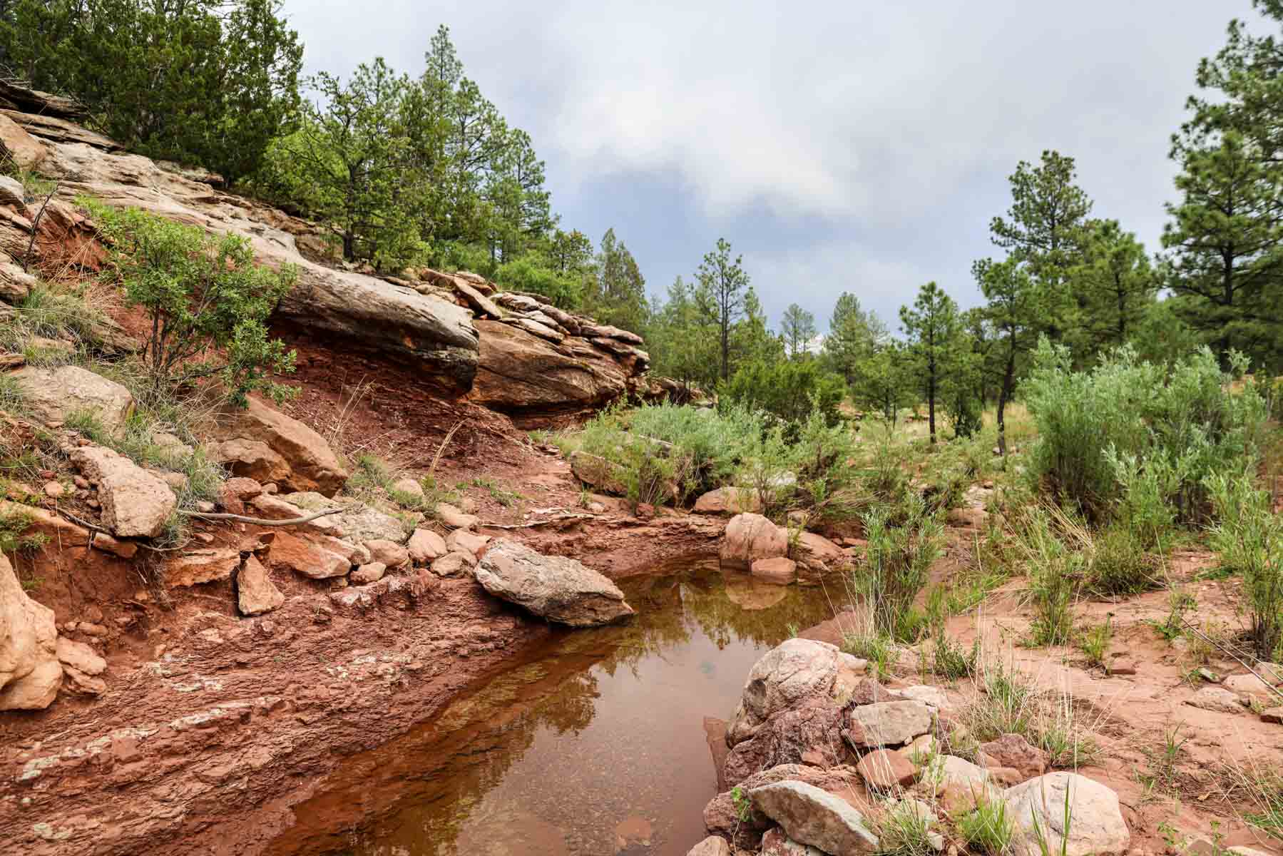 Land of Enchantment Ranch property picture 75 of 81