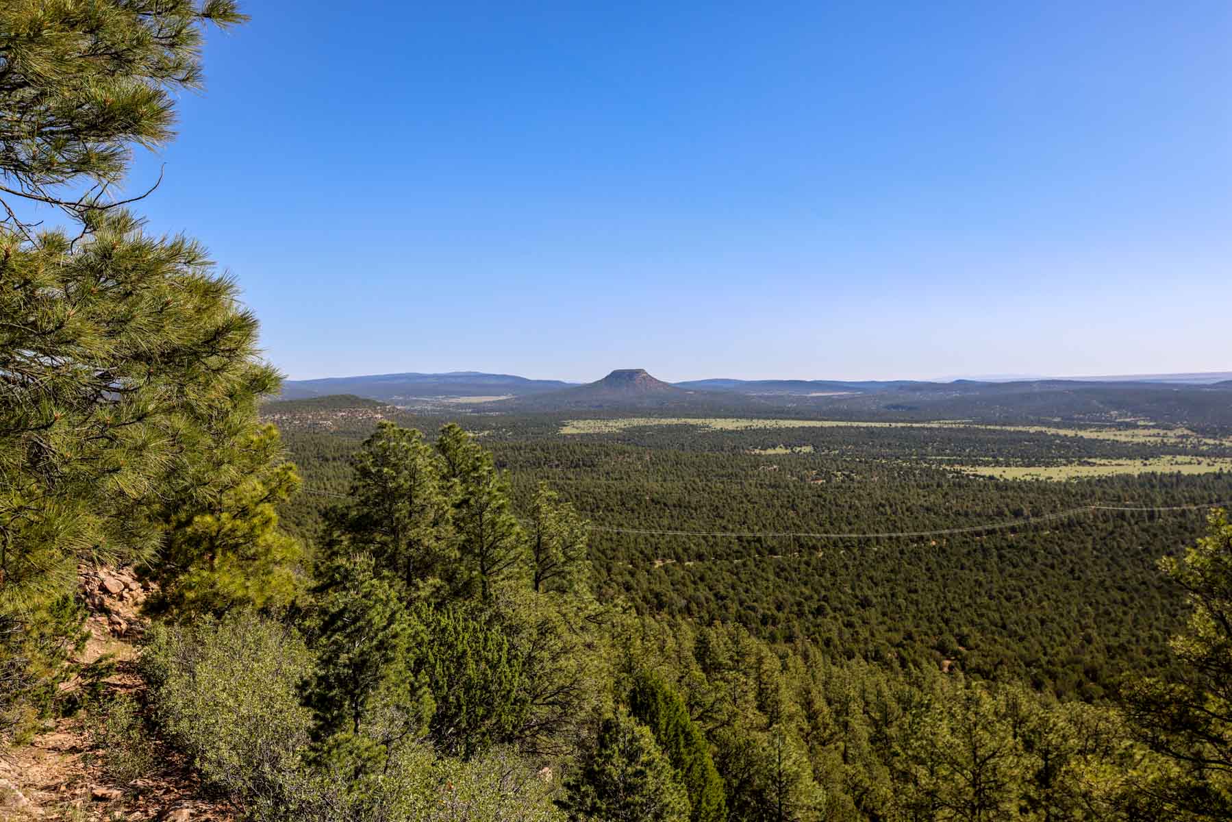 Land of Enchantment Ranch property picture 62 of 81