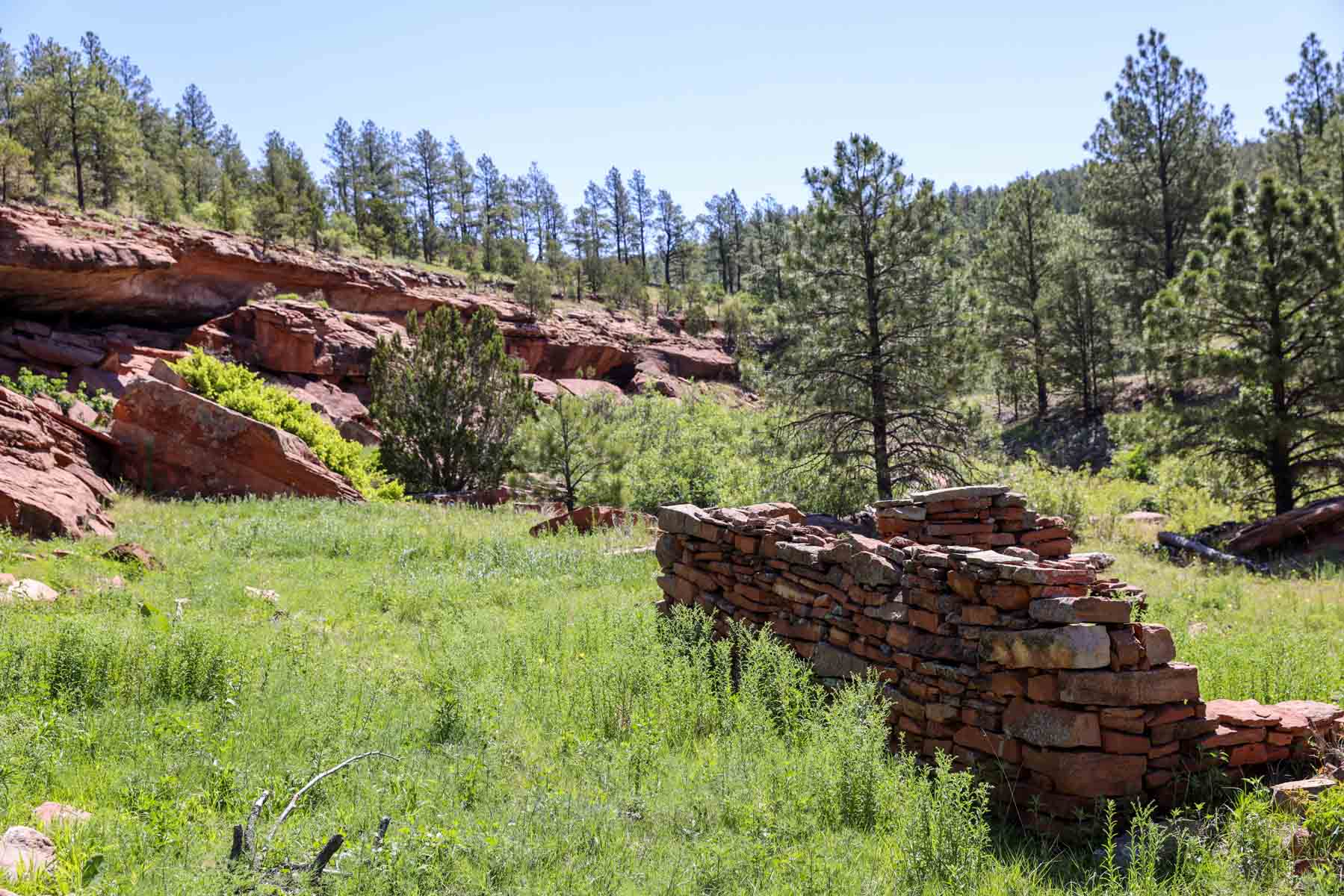 Land of Enchantment Ranch property picture 53 of 81