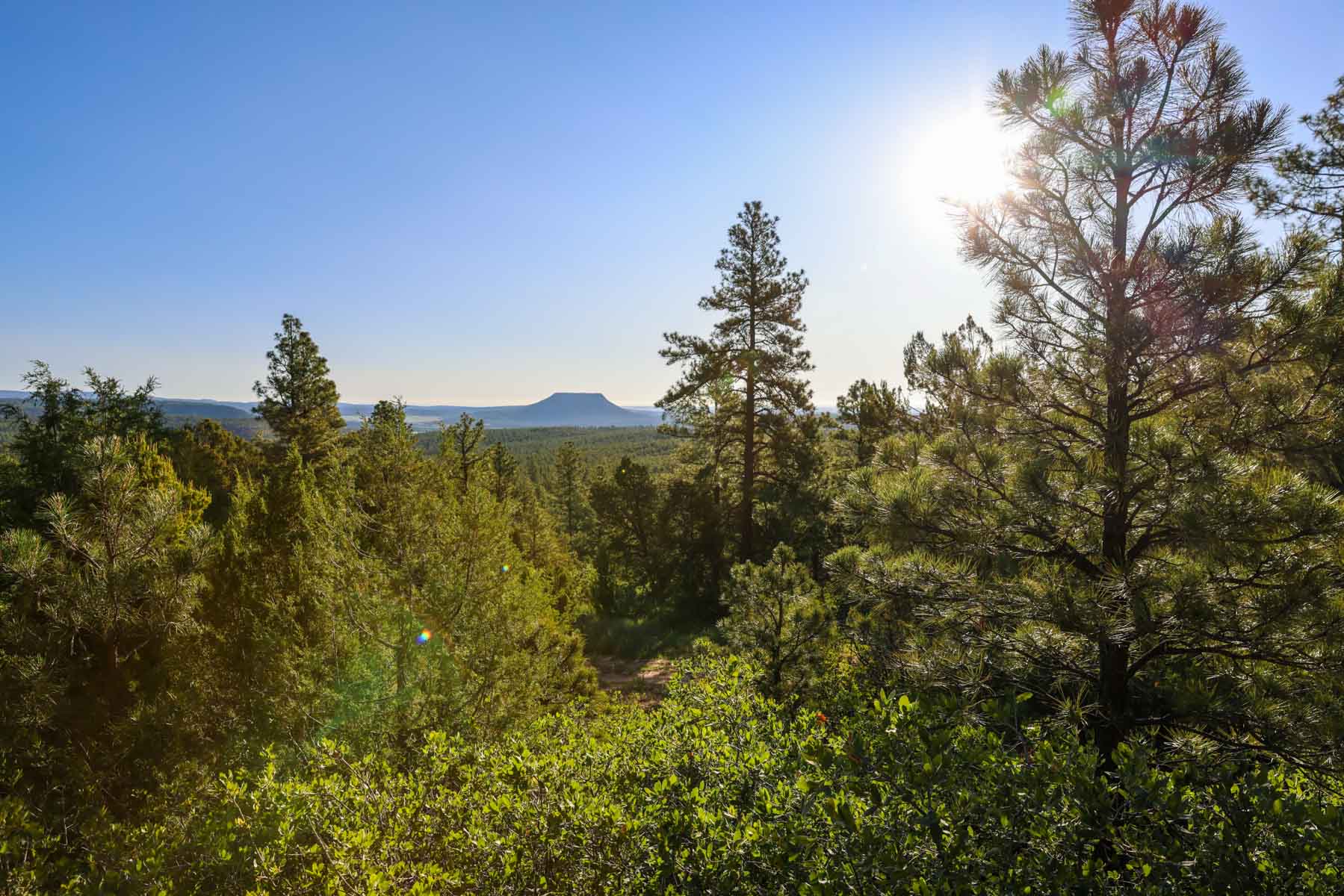 Land of Enchantment Ranch property picture 64 of 81