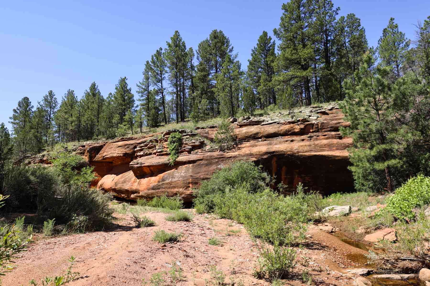 Land of Enchantment Ranch property picture 56 of 81