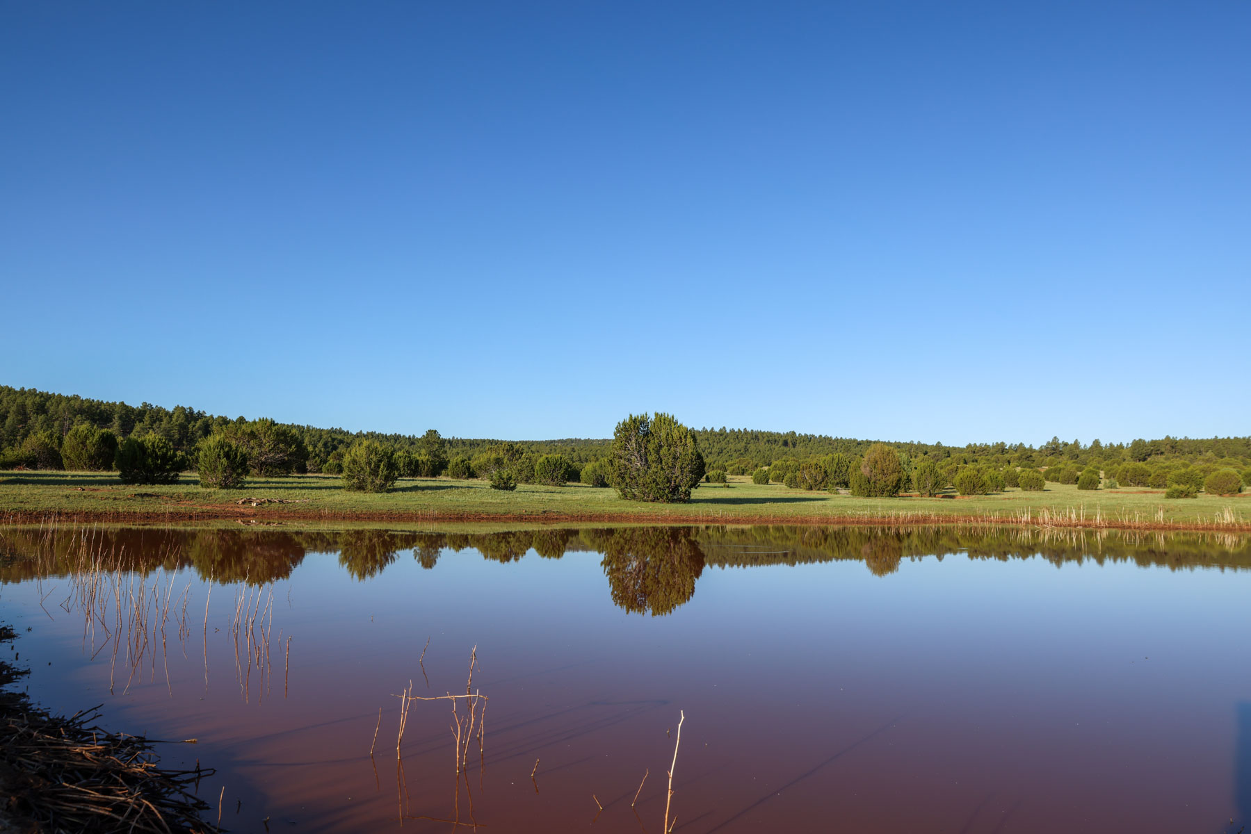 Land of Enchantment Ranch property picture 68 of 81
