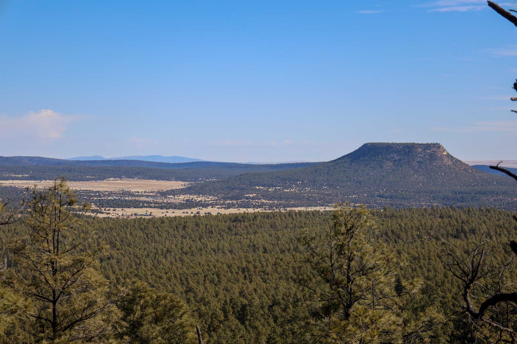 Land of Enchantment Ranch property picture 78 of 81