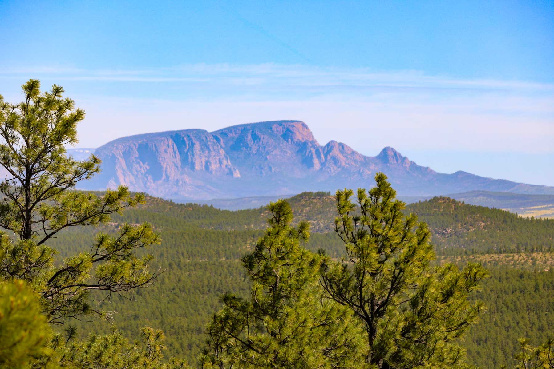 Land of Enchantment Ranch property picture 4 of 81