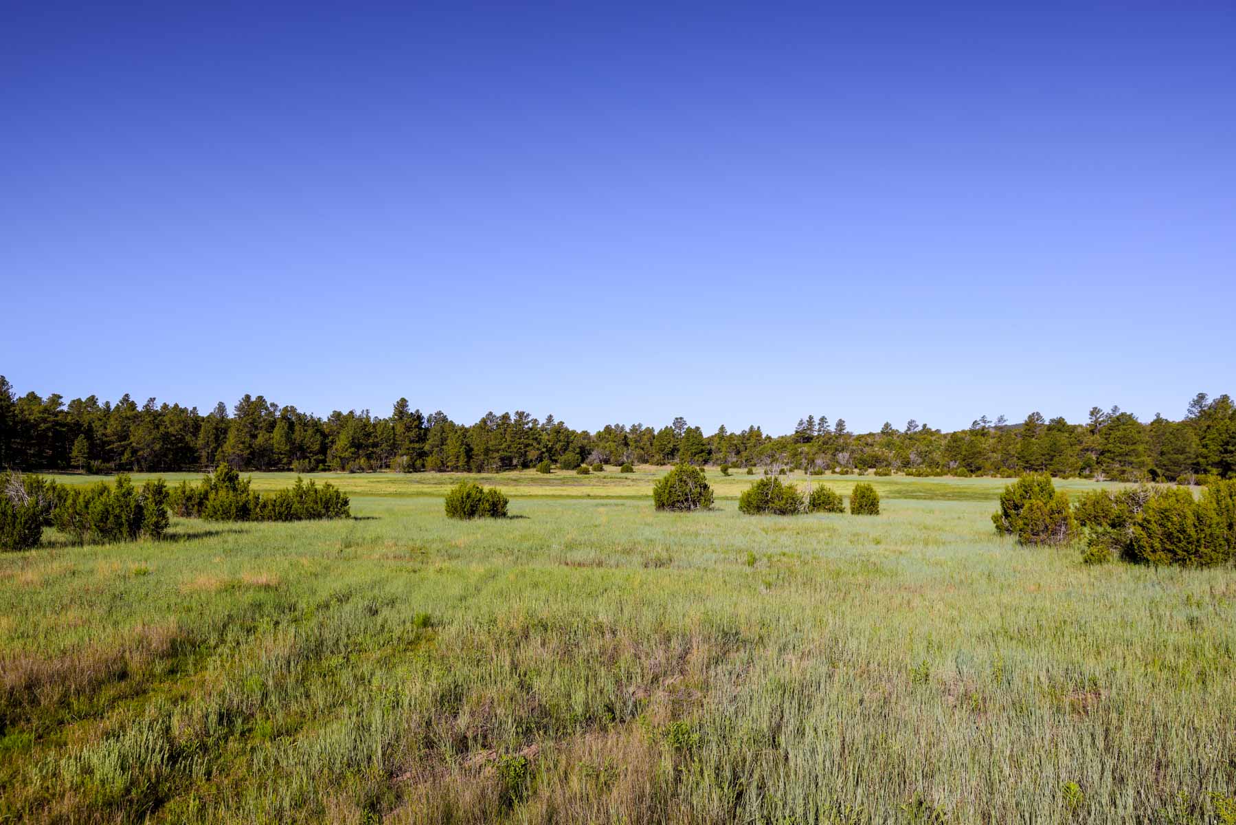 Land of Enchantment Ranch property picture 63 of 81