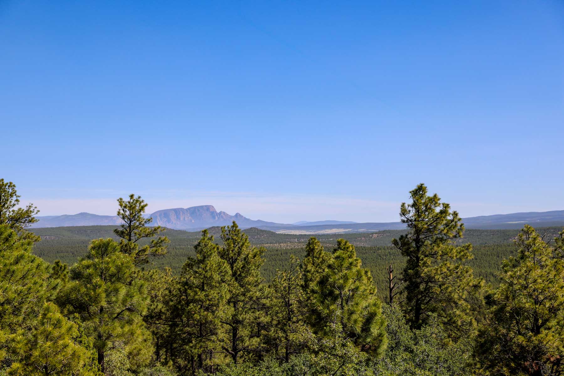 Land of Enchantment Ranch property picture 59 of 81