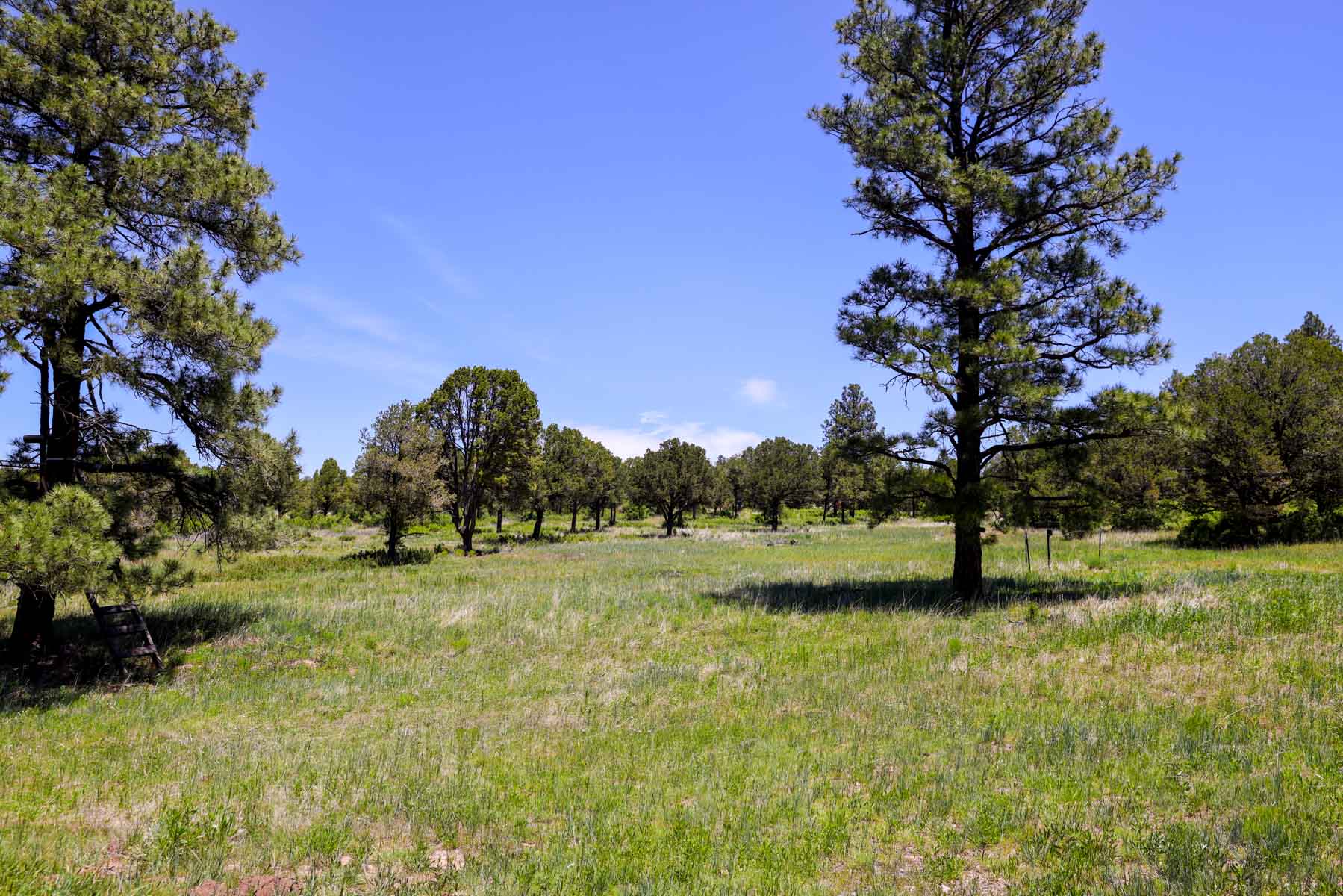 Land of Enchantment Ranch property picture 37 of 81