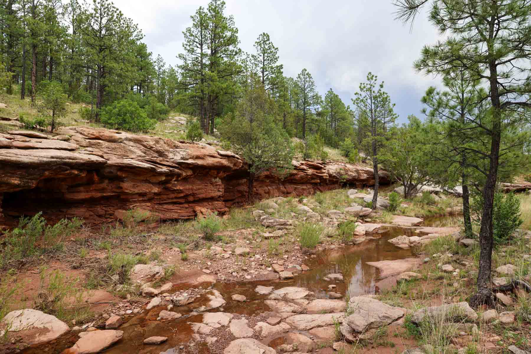 Land of Enchantment Ranch property picture 73 of 81