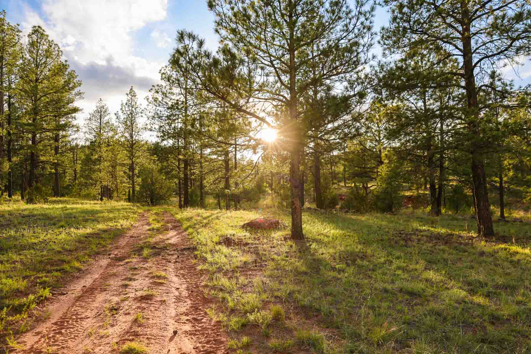 Land of Enchantment Ranch property picture 2 of 81
