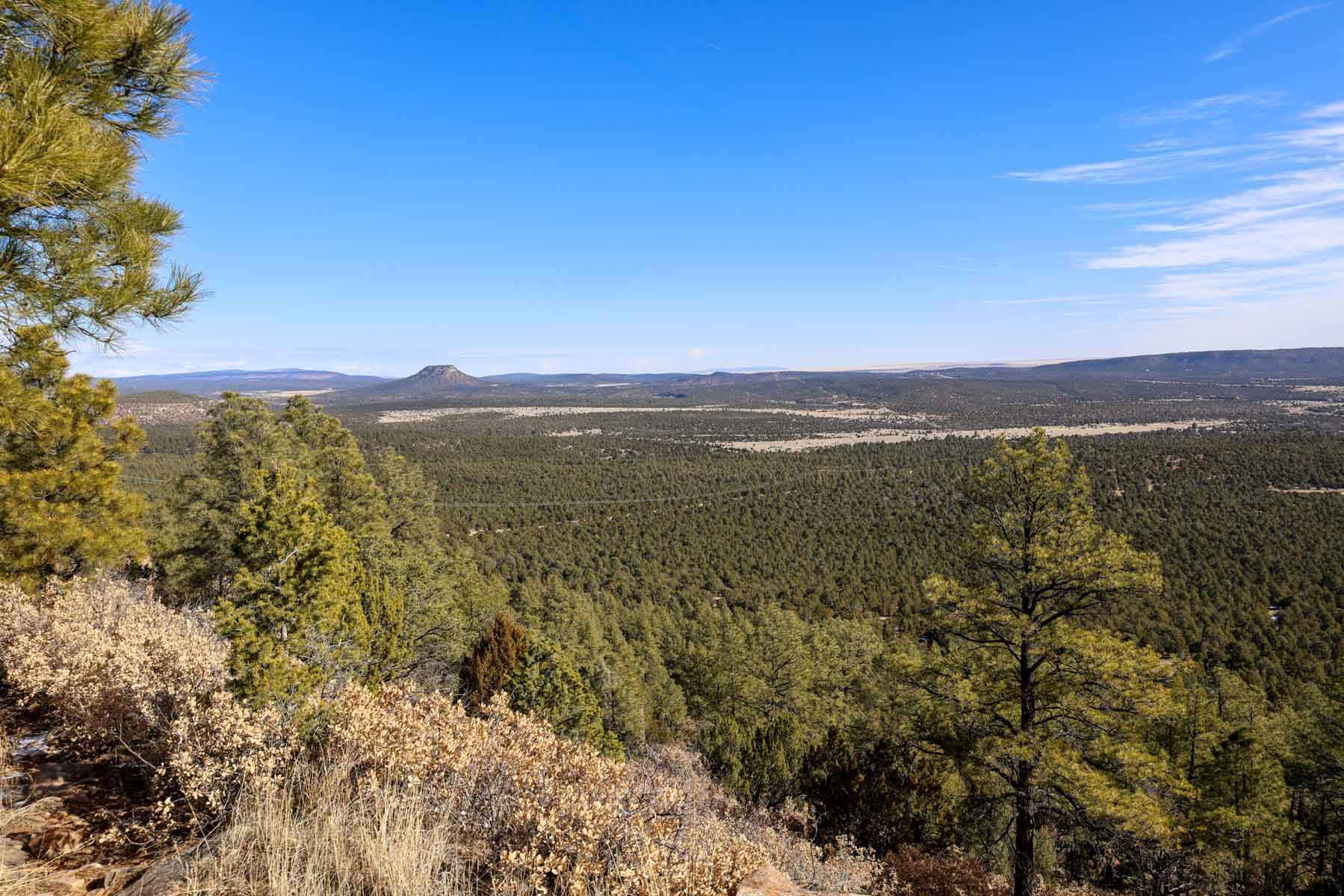 Land of Enchantment Ranch property picture 79 of 81