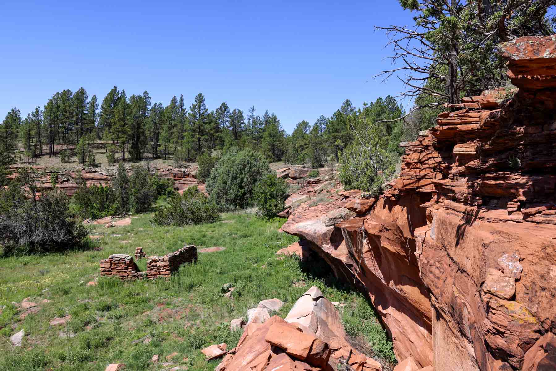 Land of Enchantment Ranch property picture 50 of 81