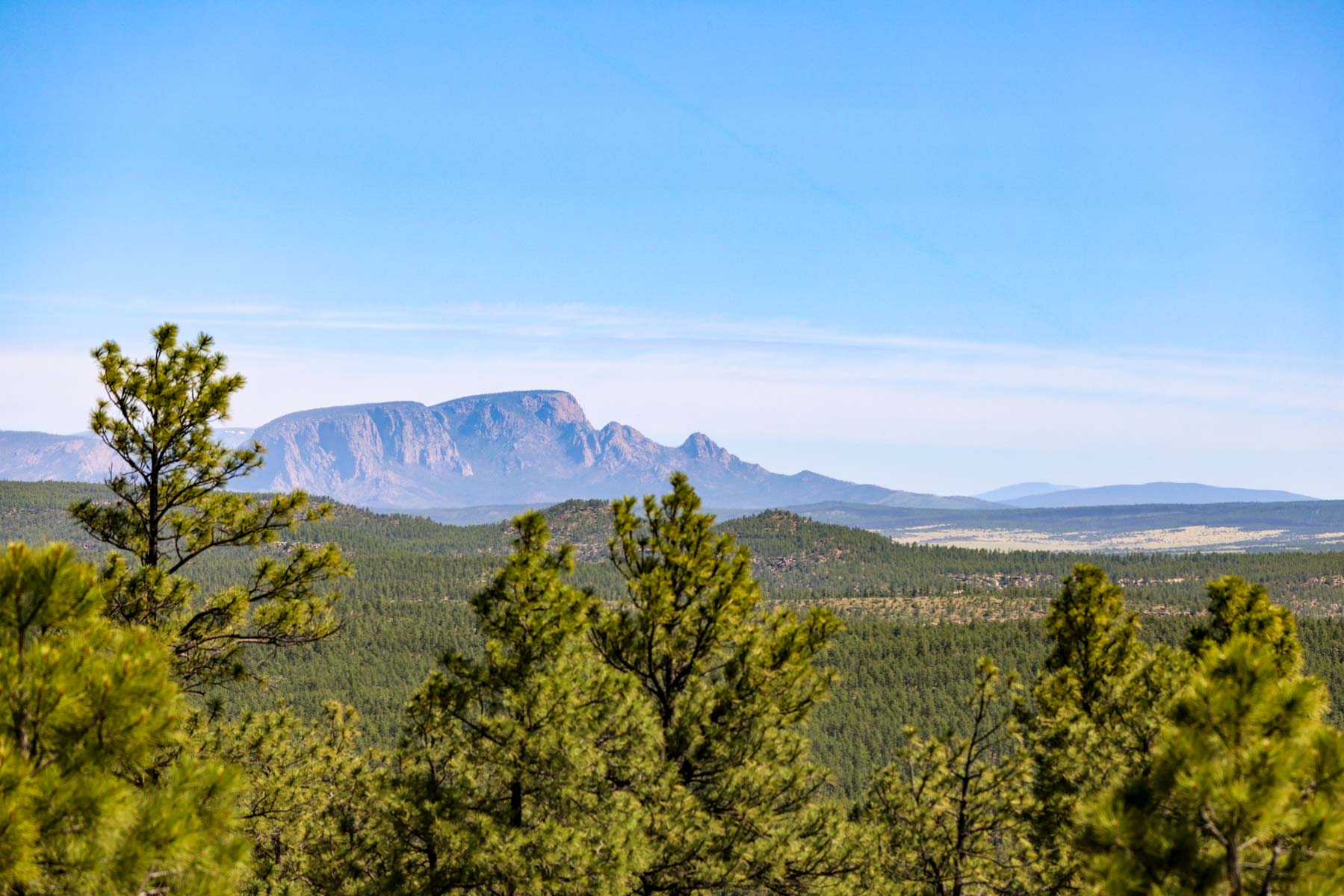 Land of Enchantment Ranch property picture 58 of 81