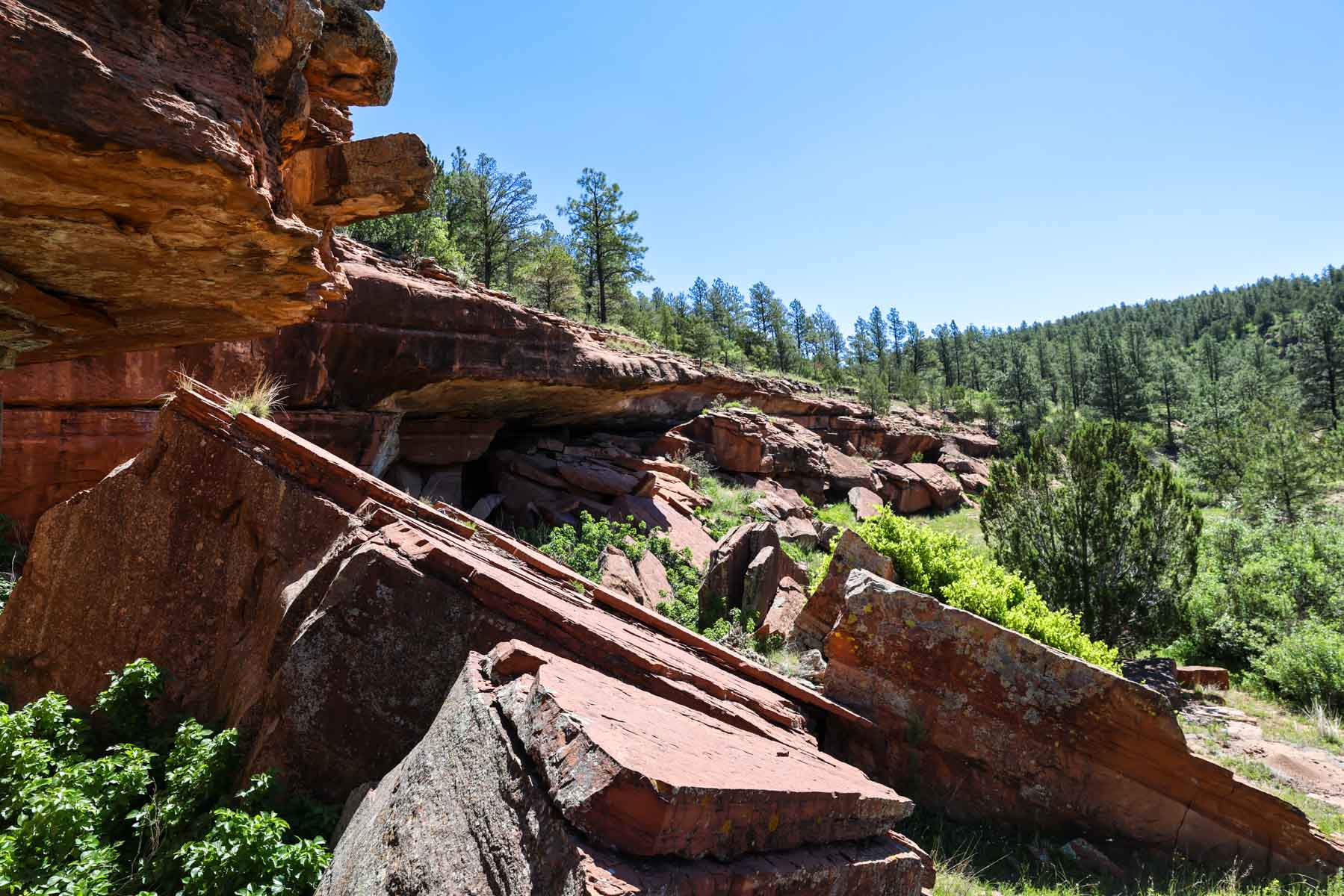 Land of Enchantment Ranch property picture 51 of 81