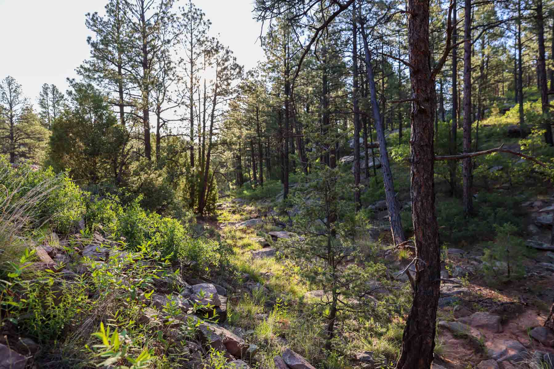 Land of Enchantment Ranch property picture 65 of 81