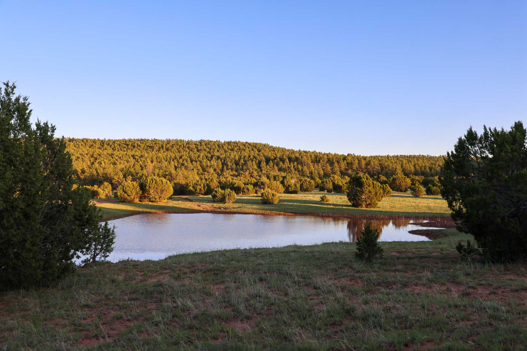 Land of Enchantment Ranch property picture 32 of 81